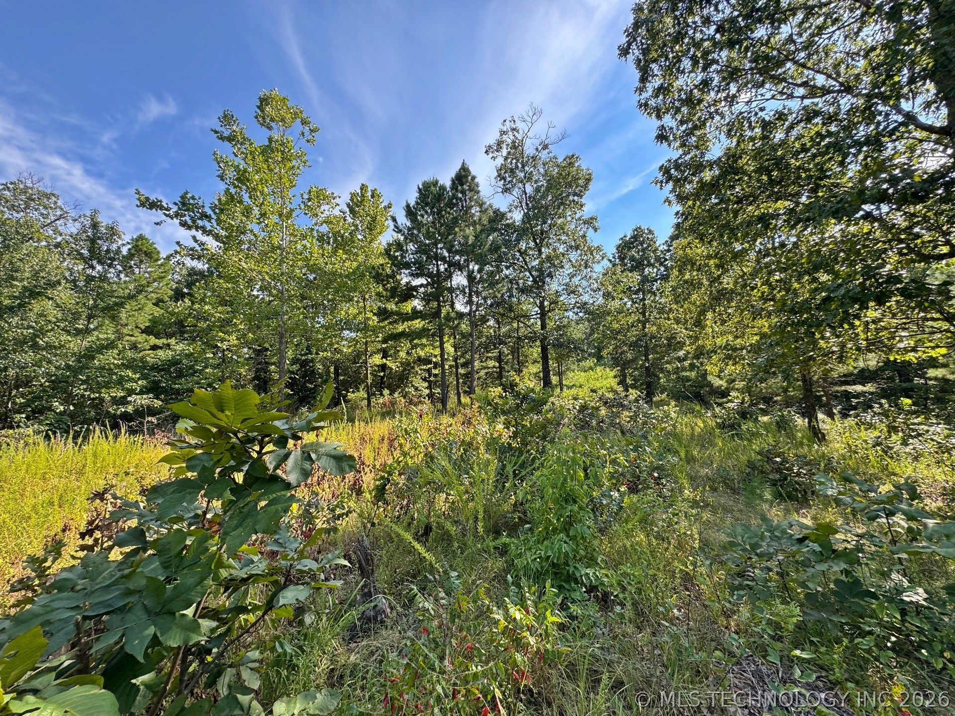 13725 N 527 Road Property Photo 74