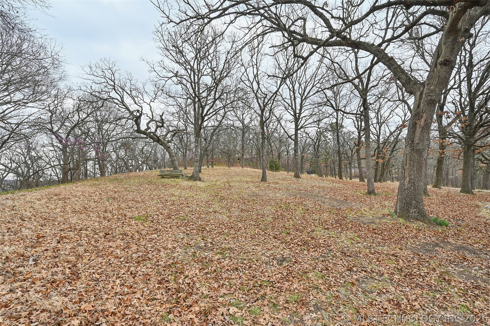 11900 S 18th Street Property Photo 2
