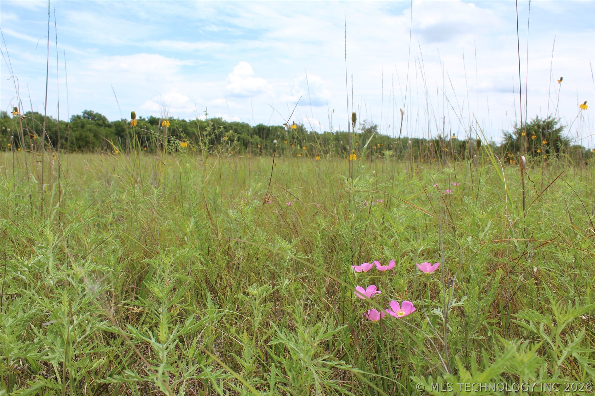 00000 N 3710 Road E Property Photo 14