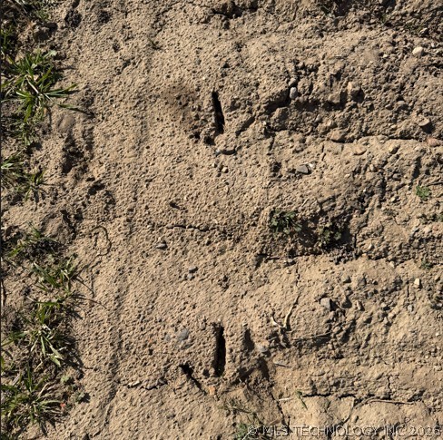 397 Avenue E Property Photo 23
