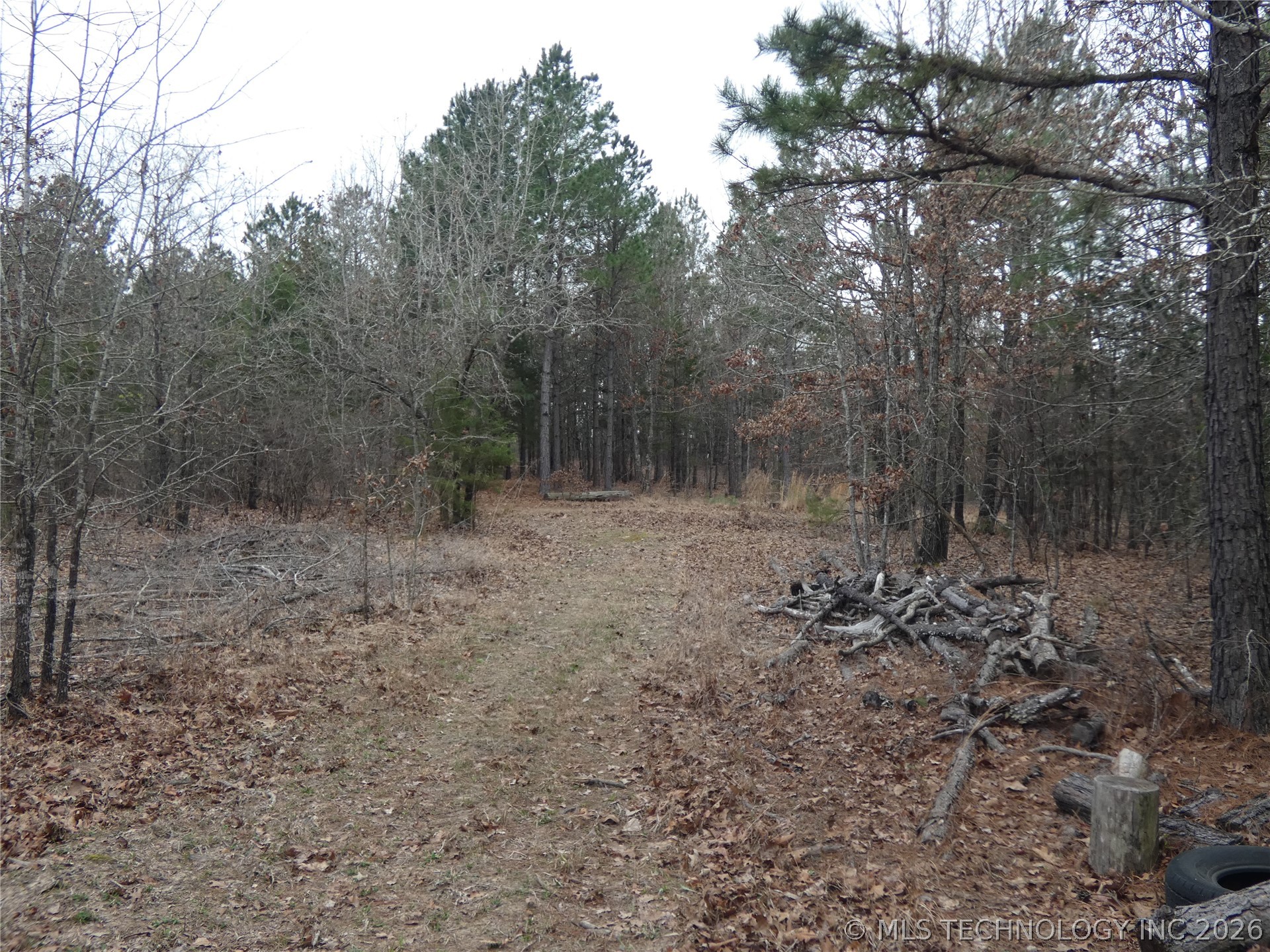 2043 E 2000 Road Property Photo 29