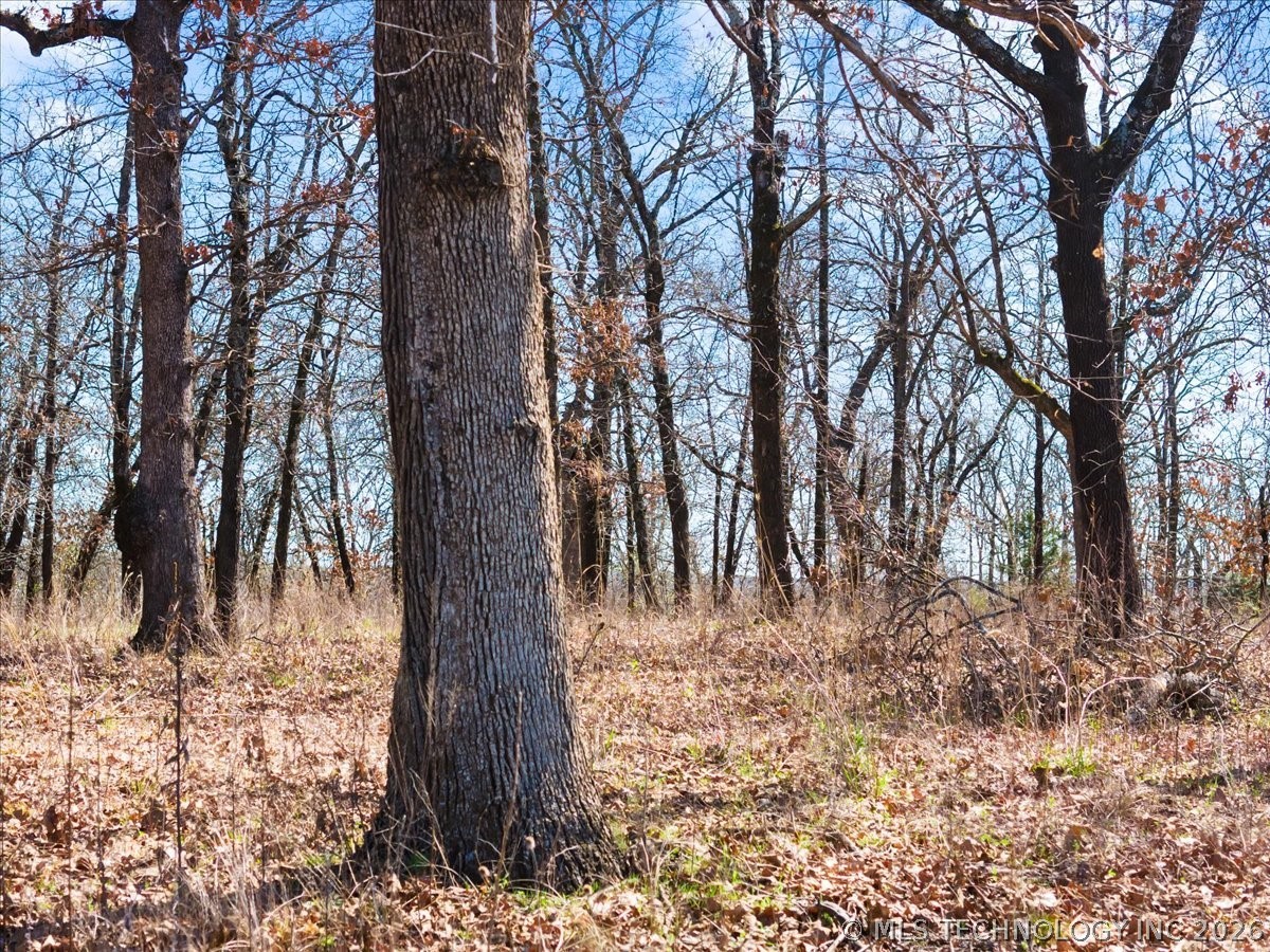 29863 S Qualls Road Property Photo 4