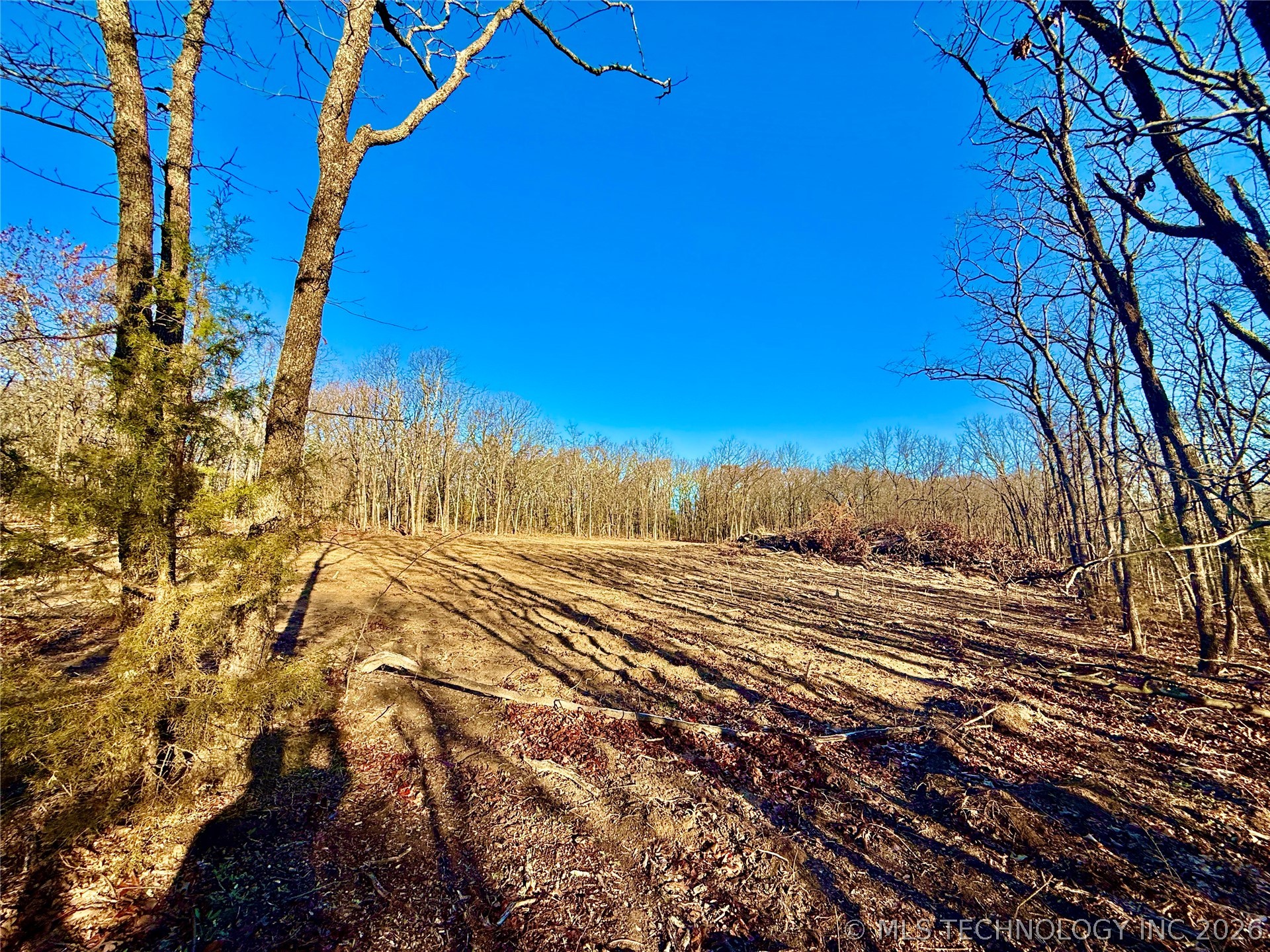 8250 Valley View Drive Property Photo 10