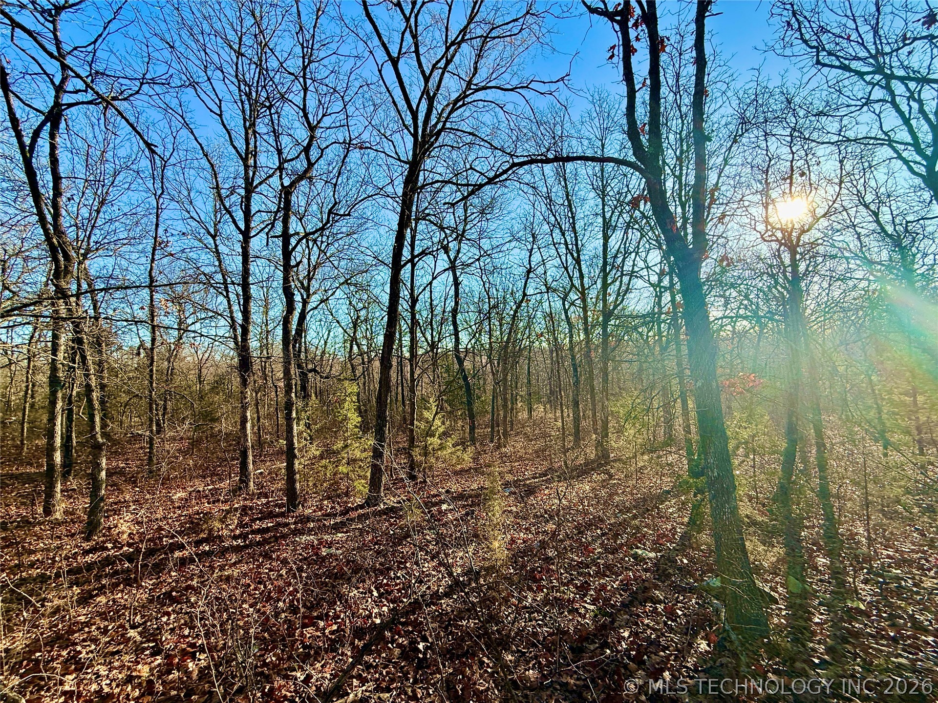8250 Valley View Drive Property Photo 20
