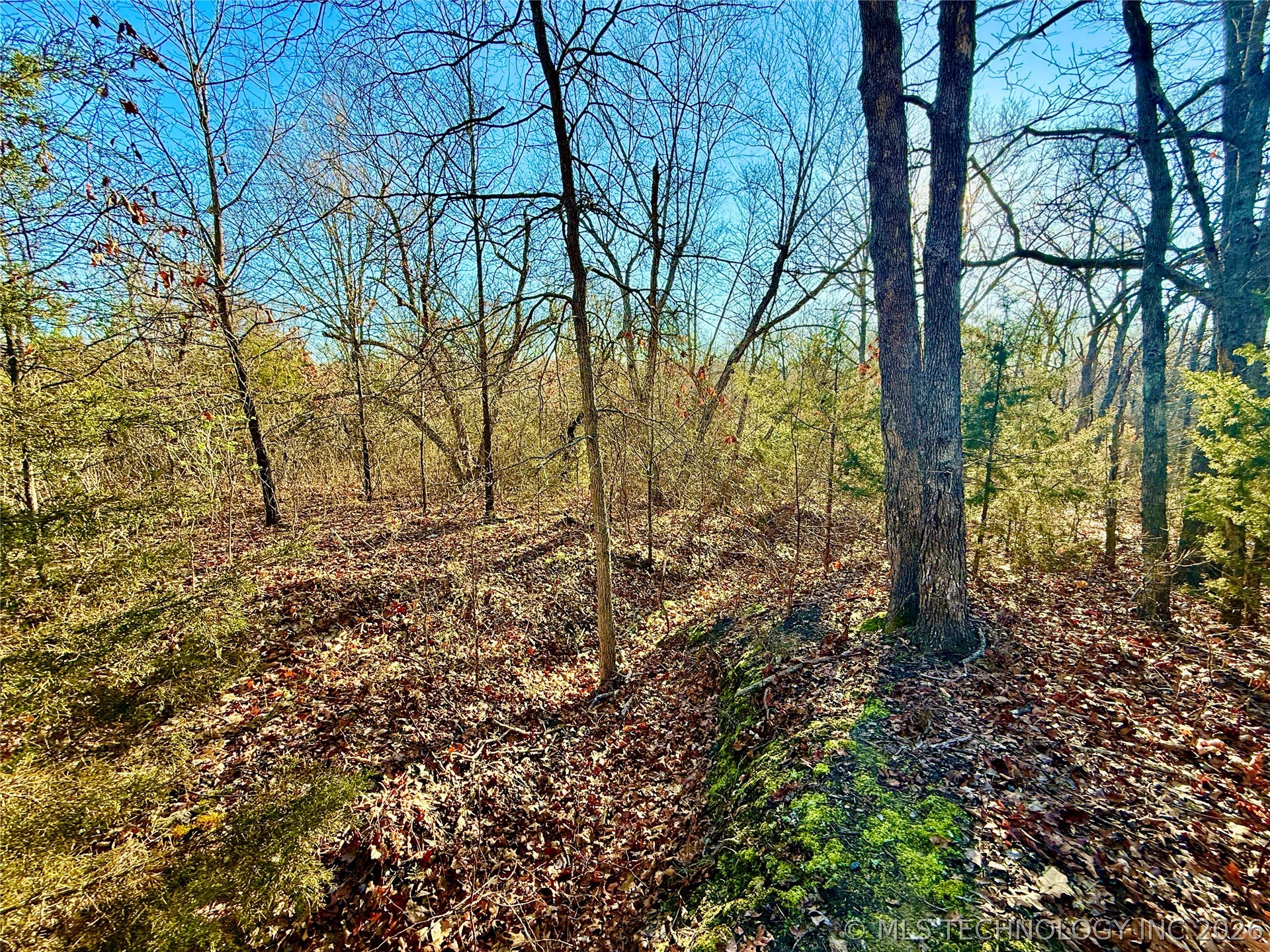 8250 Valley View Drive Property Photo 24