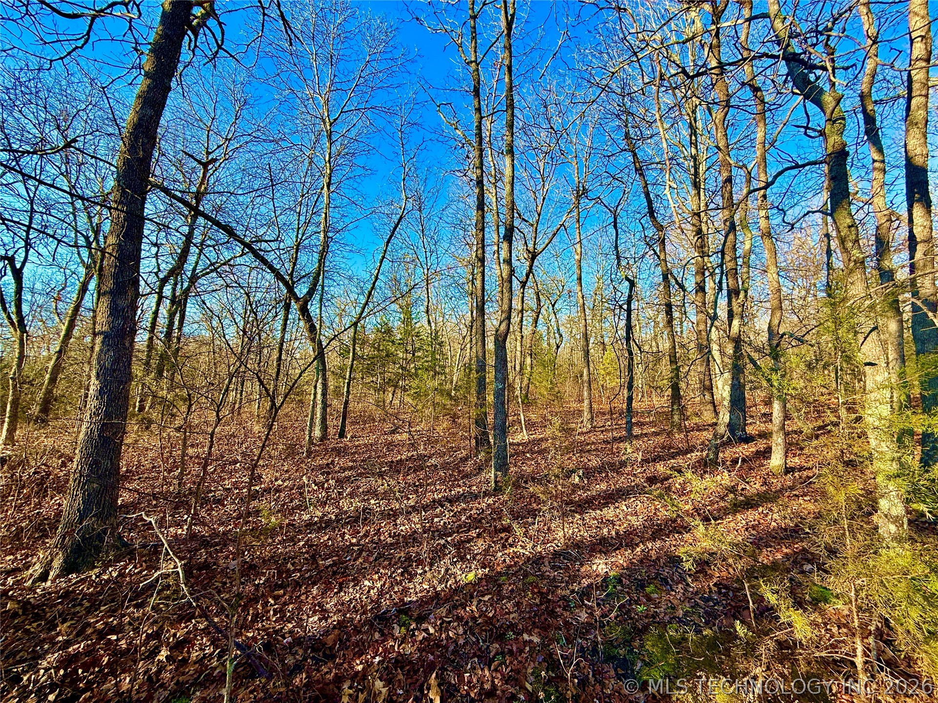 8250 Valley View Drive Property Photo 25