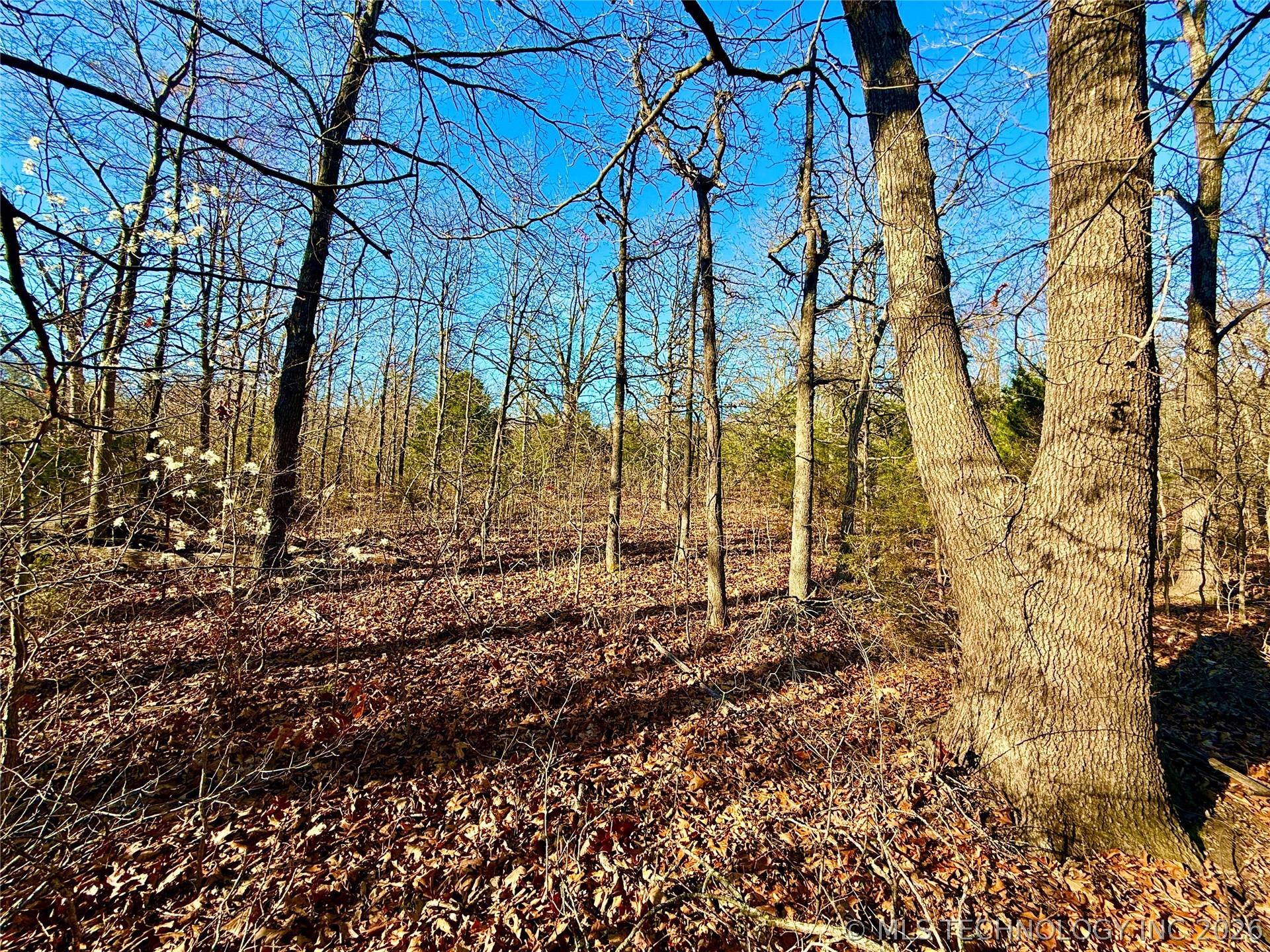 8250 Valley View Drive Property Photo 34