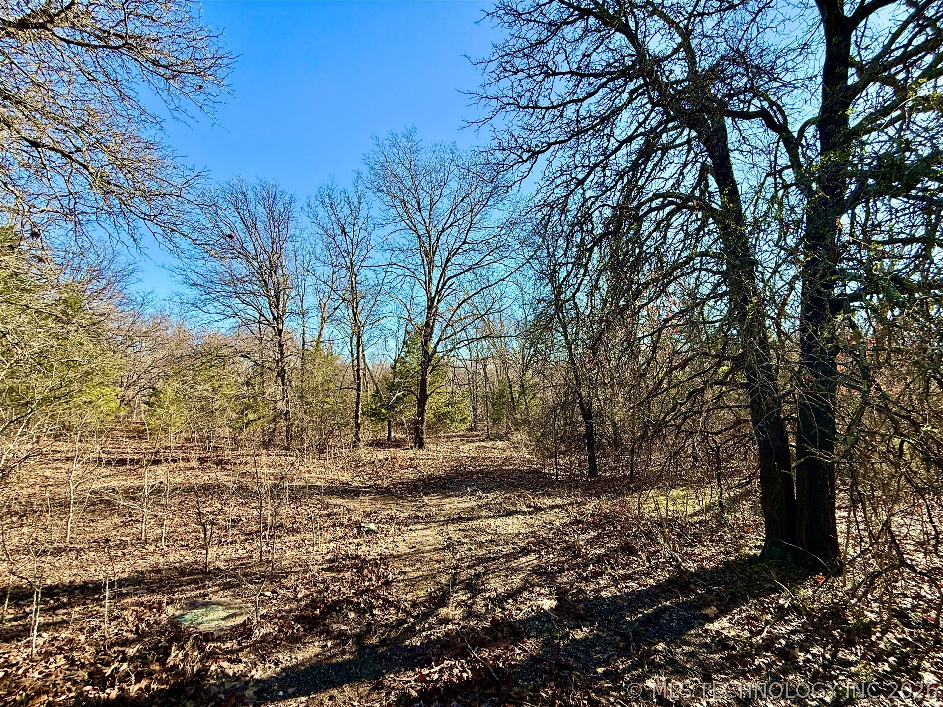 8250 Valley View Drive Property Photo 38
