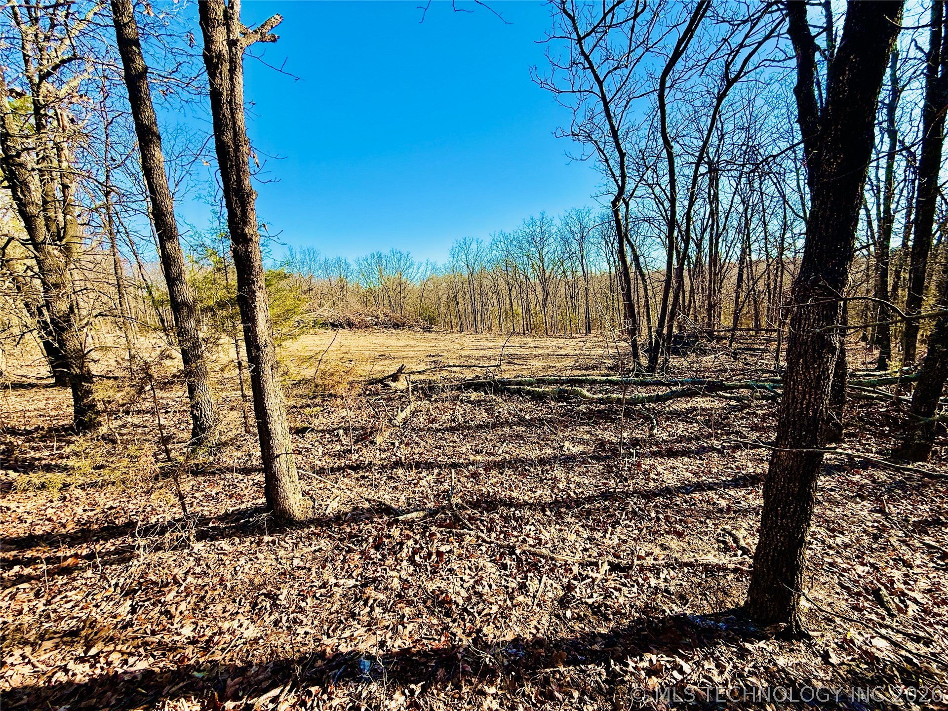 8250 Valley View Drive Property Photo 44