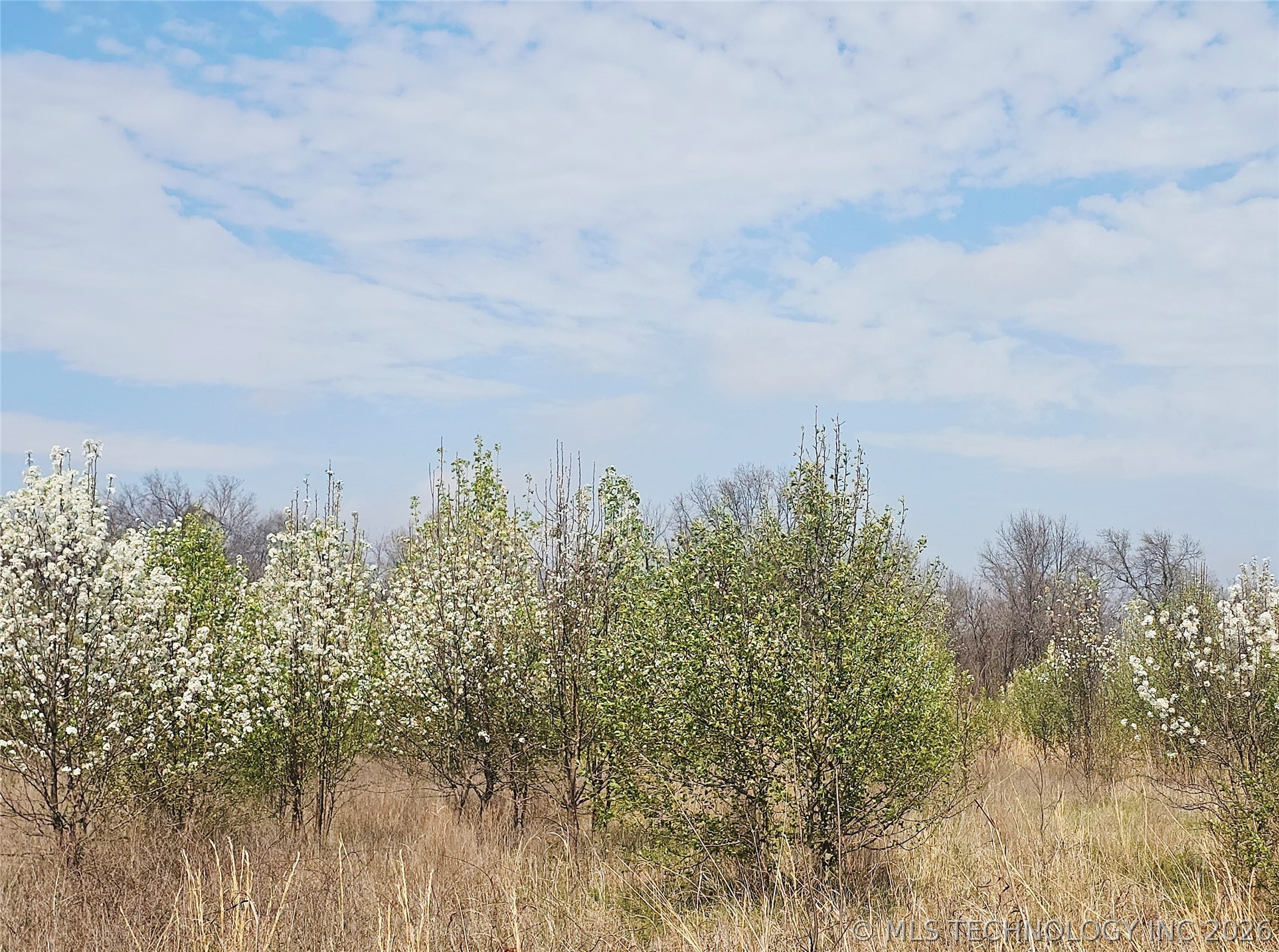 3 E 500 Road Property Photo 2