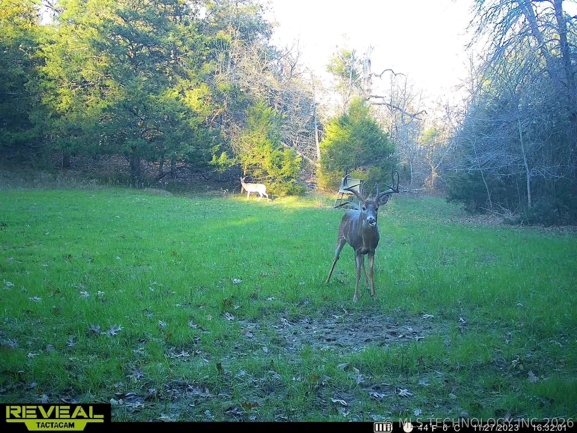 240 Magnolia Lane Property Photo 2
