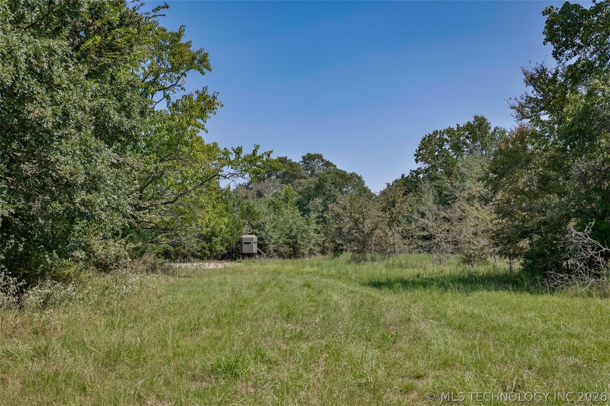 240 Magnolia Lane Property Photo 8