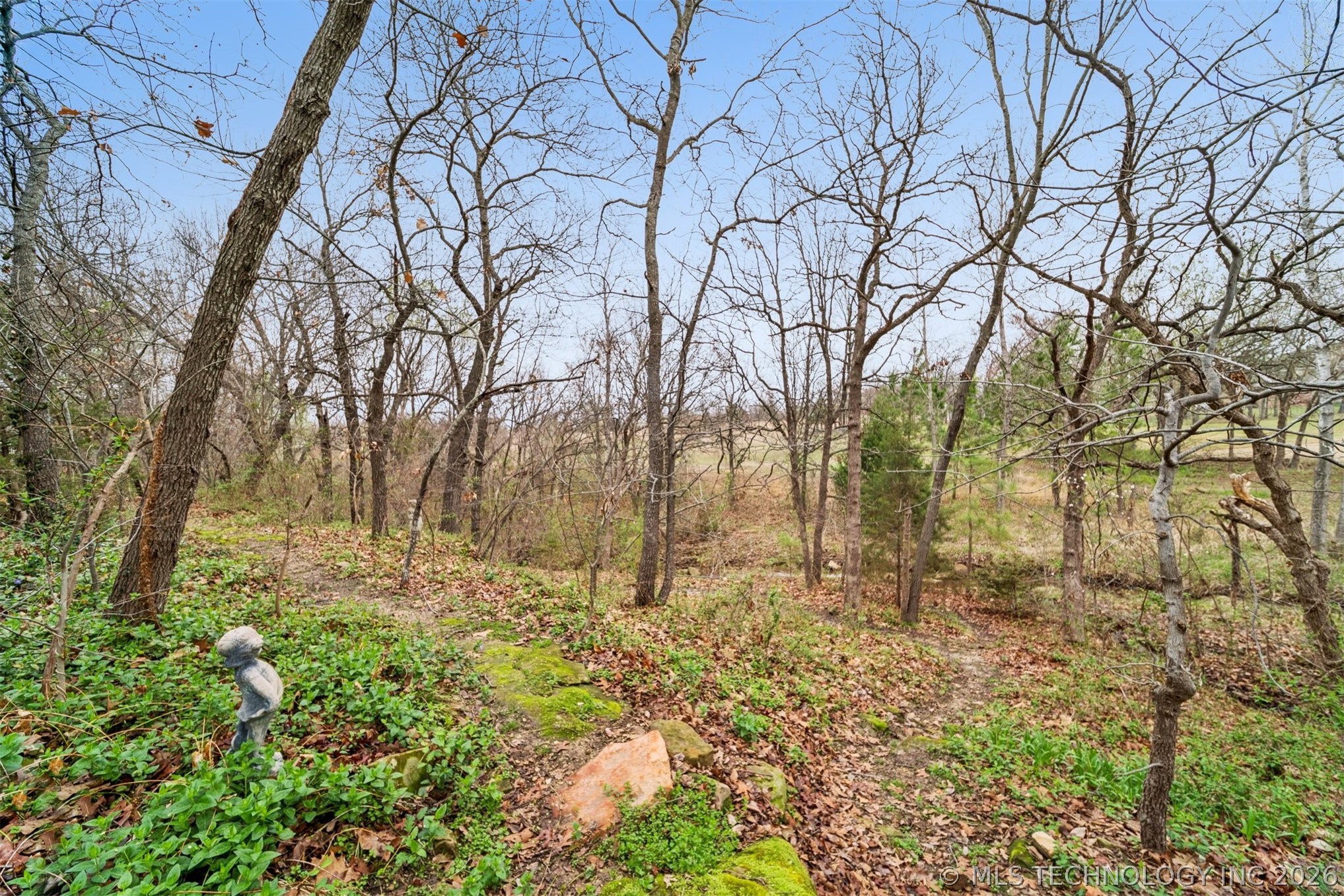 11069 S 55th Place Property Photo 41