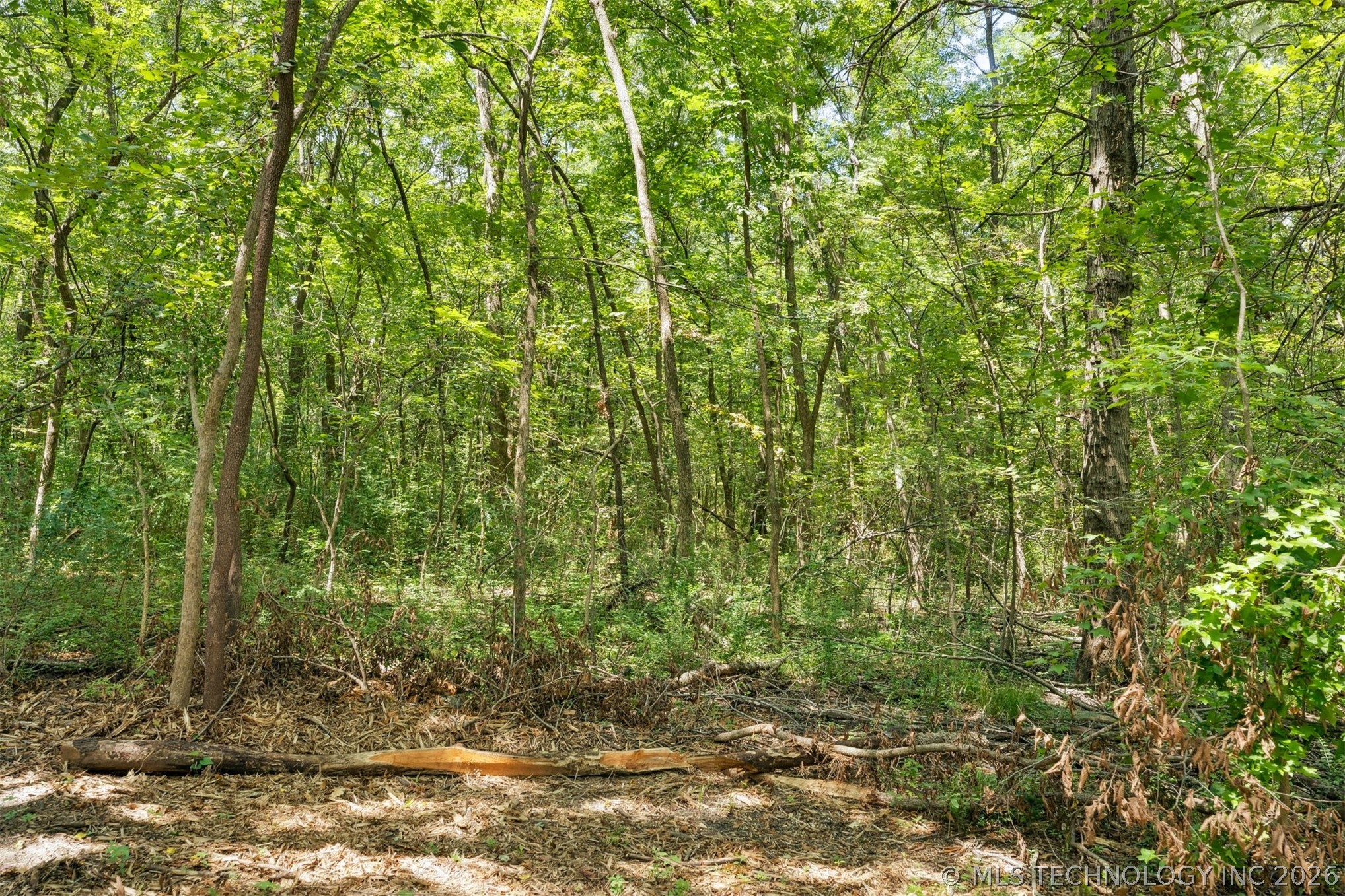 10 N Oklahoma Avenue Property Photo 12