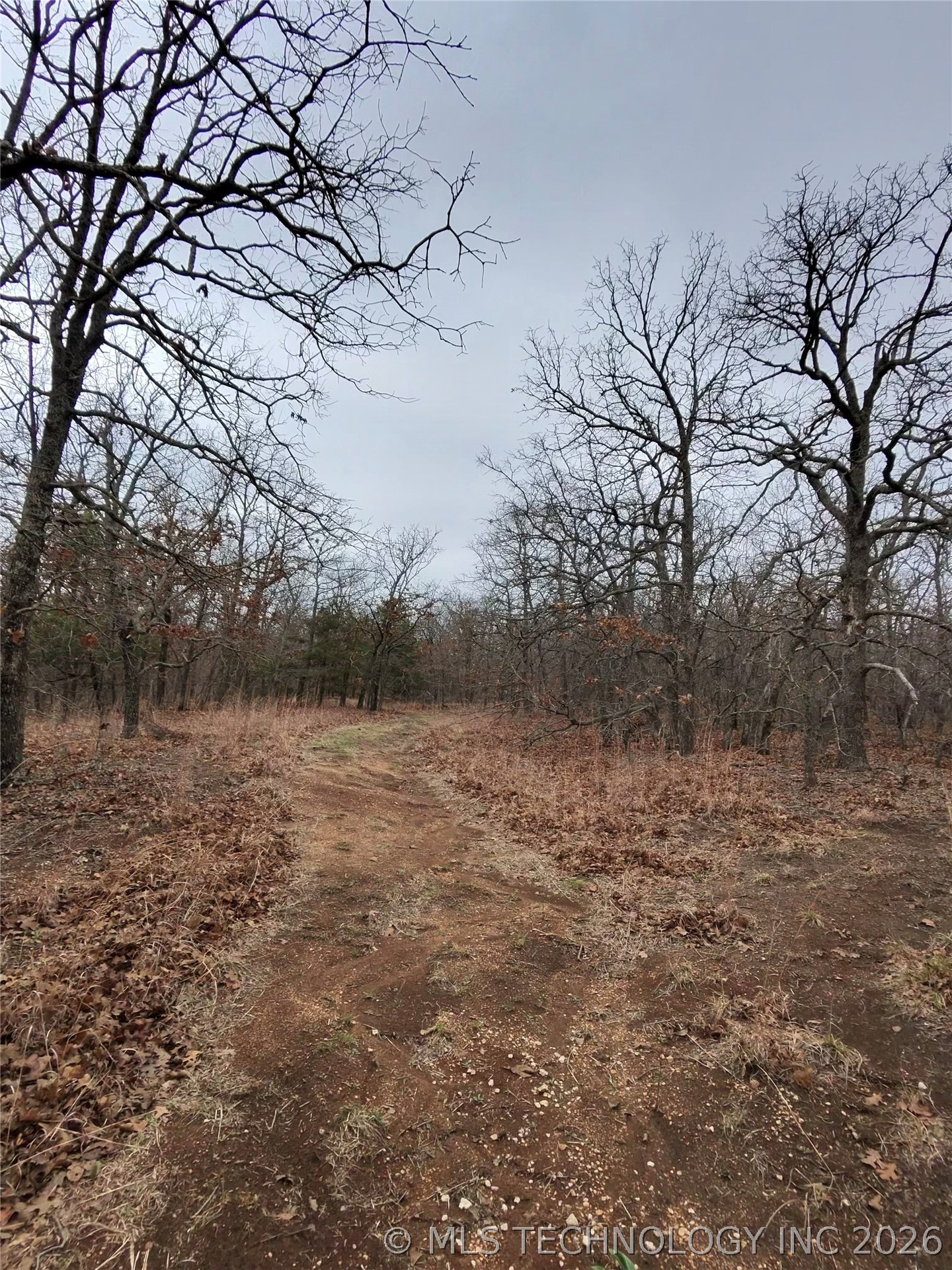 000 County Road 1600 Property Photo 5