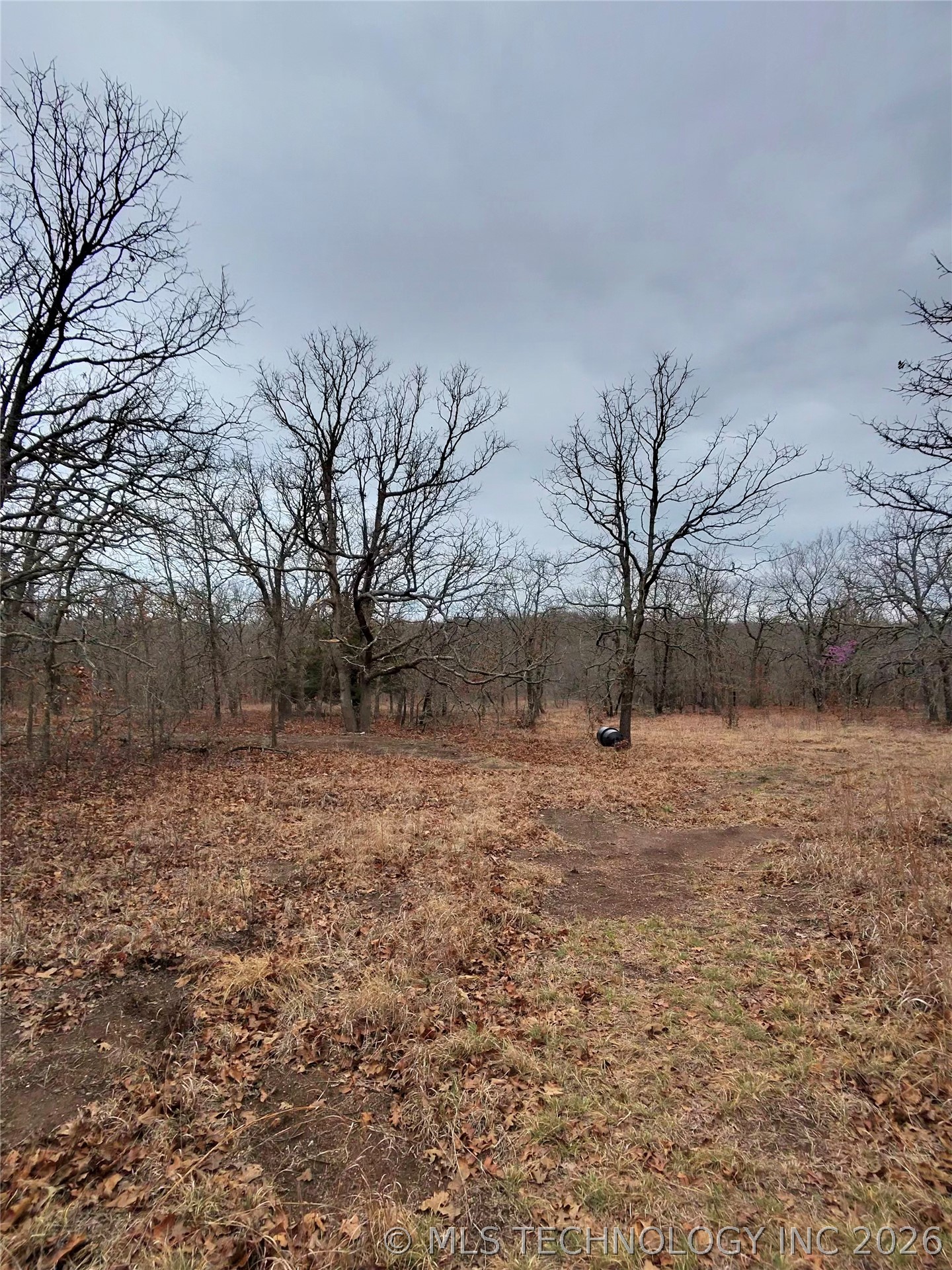 000 County Road 1600 Property Photo 7