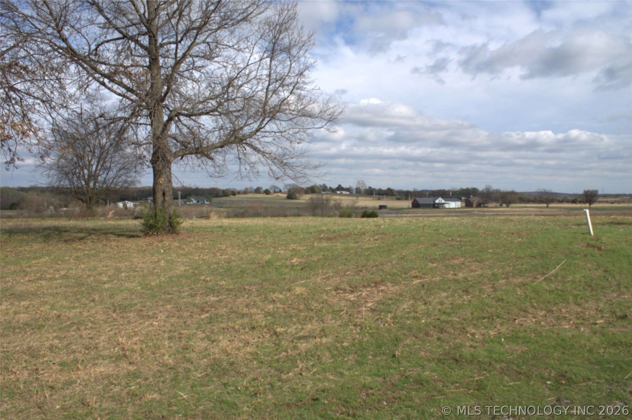 Persimmon Road Property Photo 2