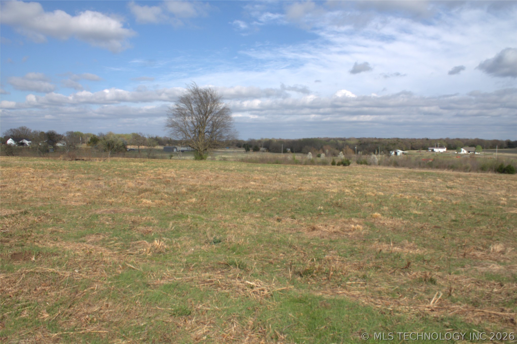 Persimmon Road Property Photo 3