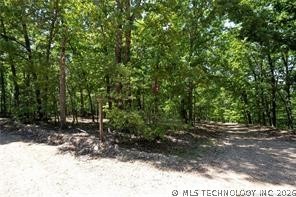 1103 Brown Bear Trail Property Photo 4