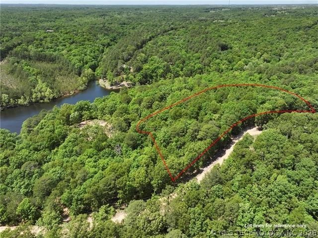1103 Brown Bear Trail Property Photo 6