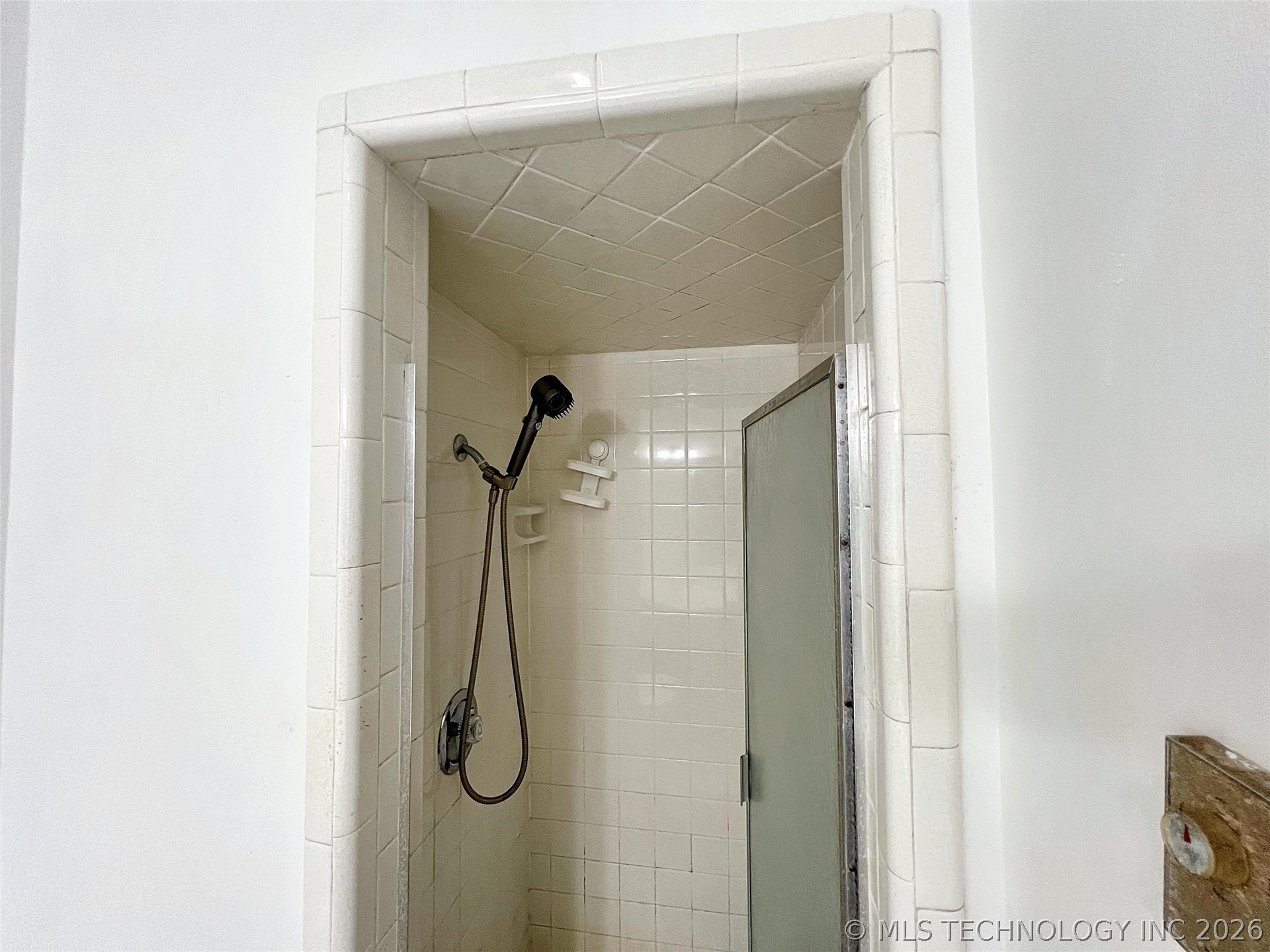 710 Victor Street Property Photo 27