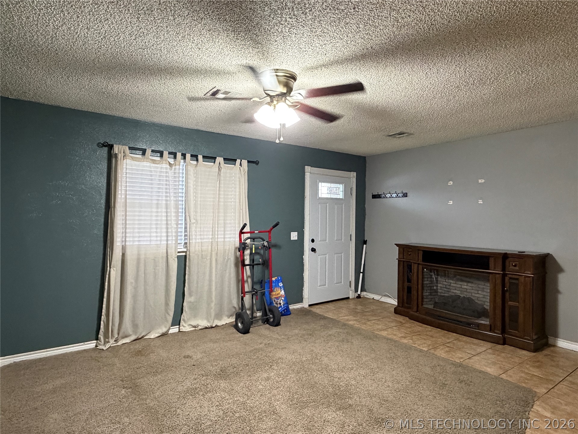 703 W Cedar Property Photo 2