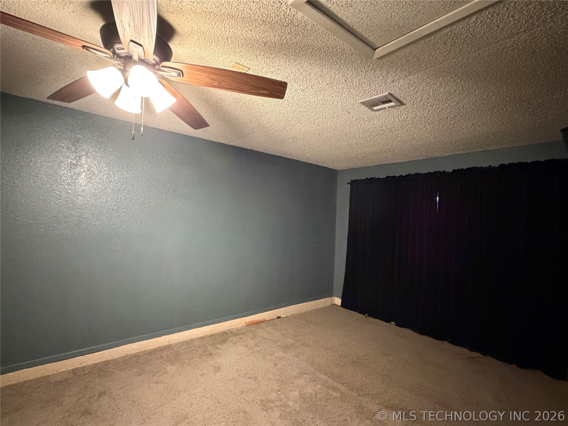703 W Cedar Property Photo 3