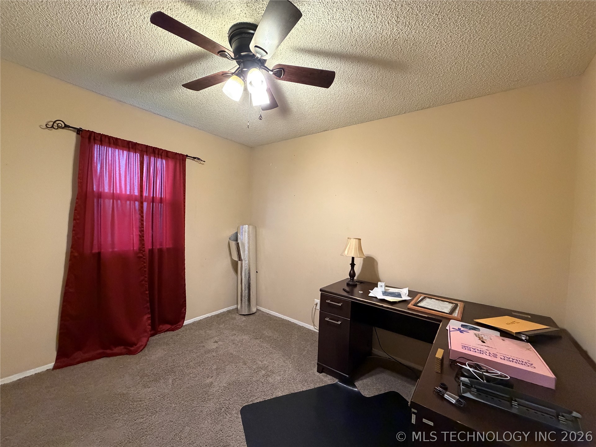 703 W Cedar Property Photo 15
