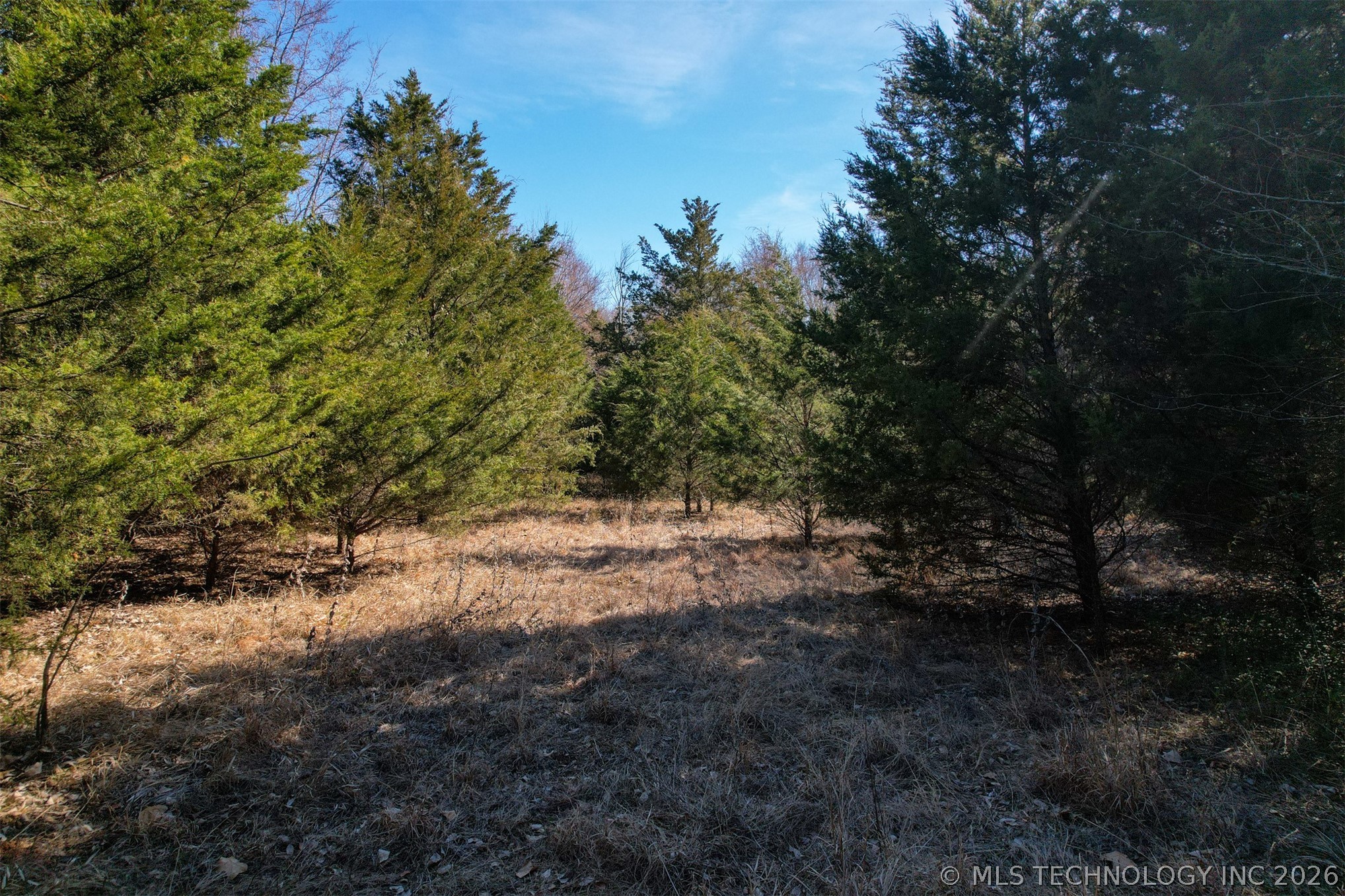 06 Hwy 9 Property Photo 11