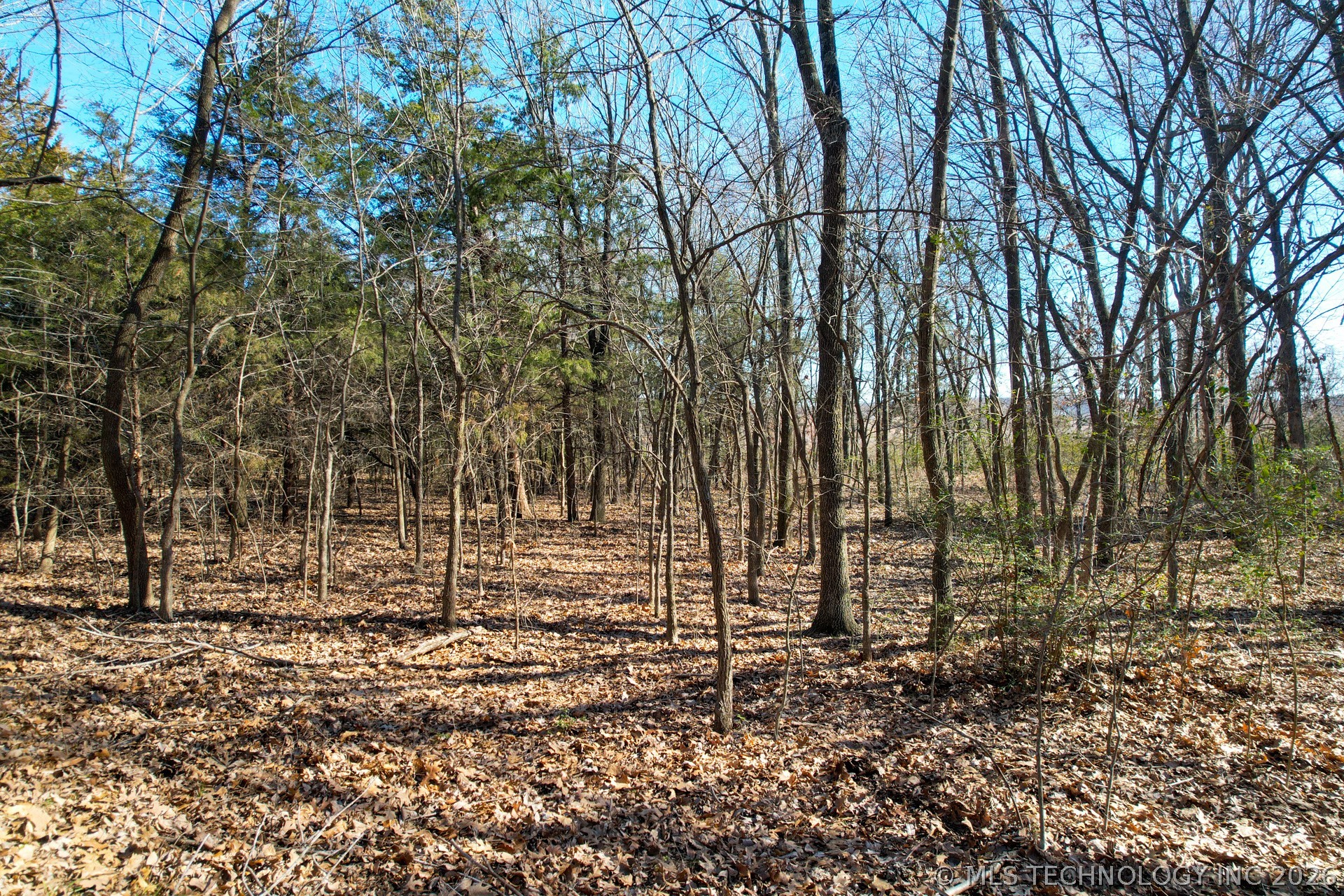 06 Hwy 9 Property Photo 12