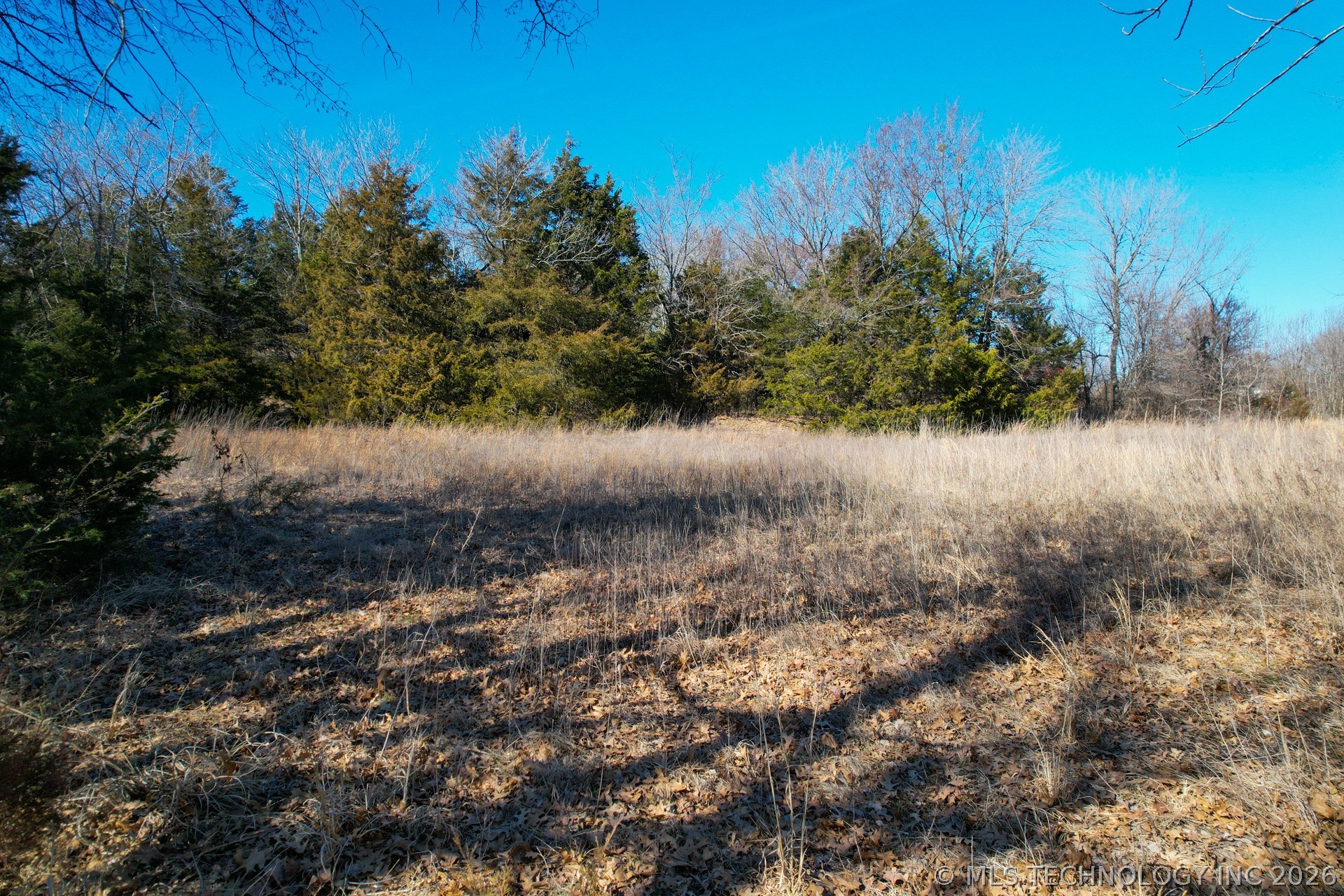 06 Hwy 9 Property Photo 15