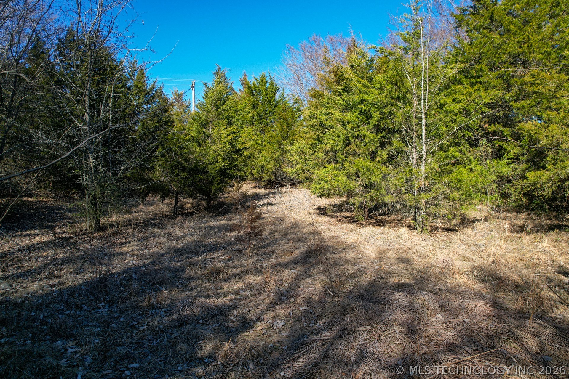06 Hwy 9 Property Photo 16
