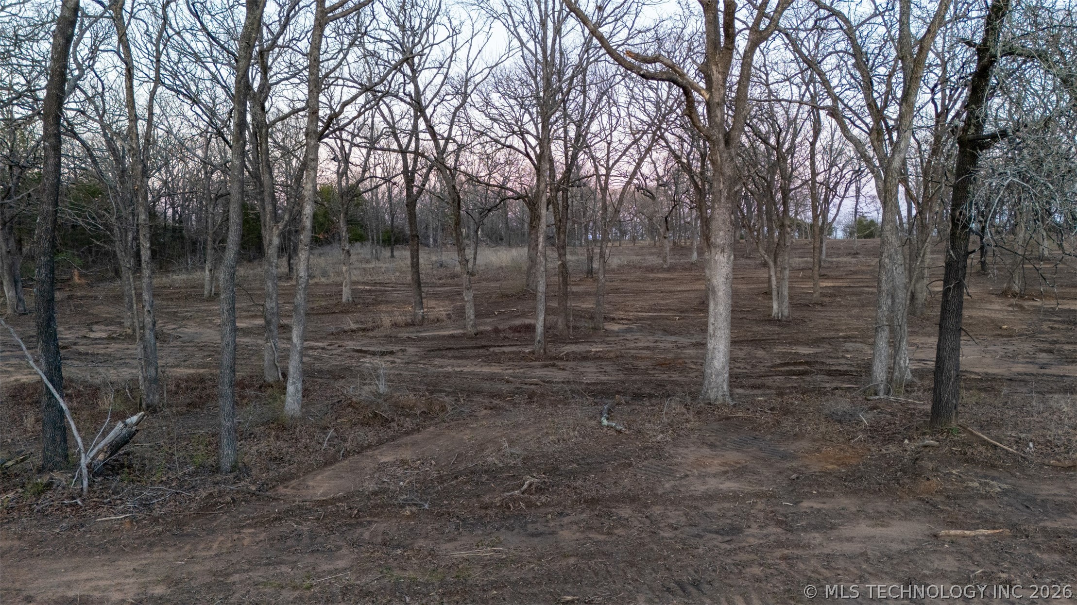 000 County Road 1542 Property Photo 12