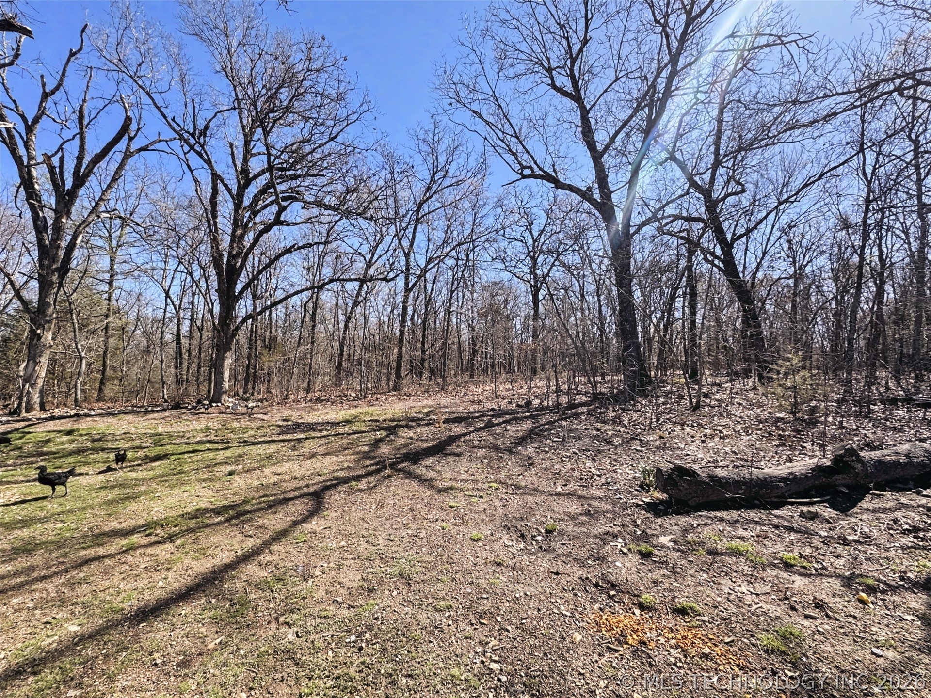 10709 W 660 Road Property Photo 55