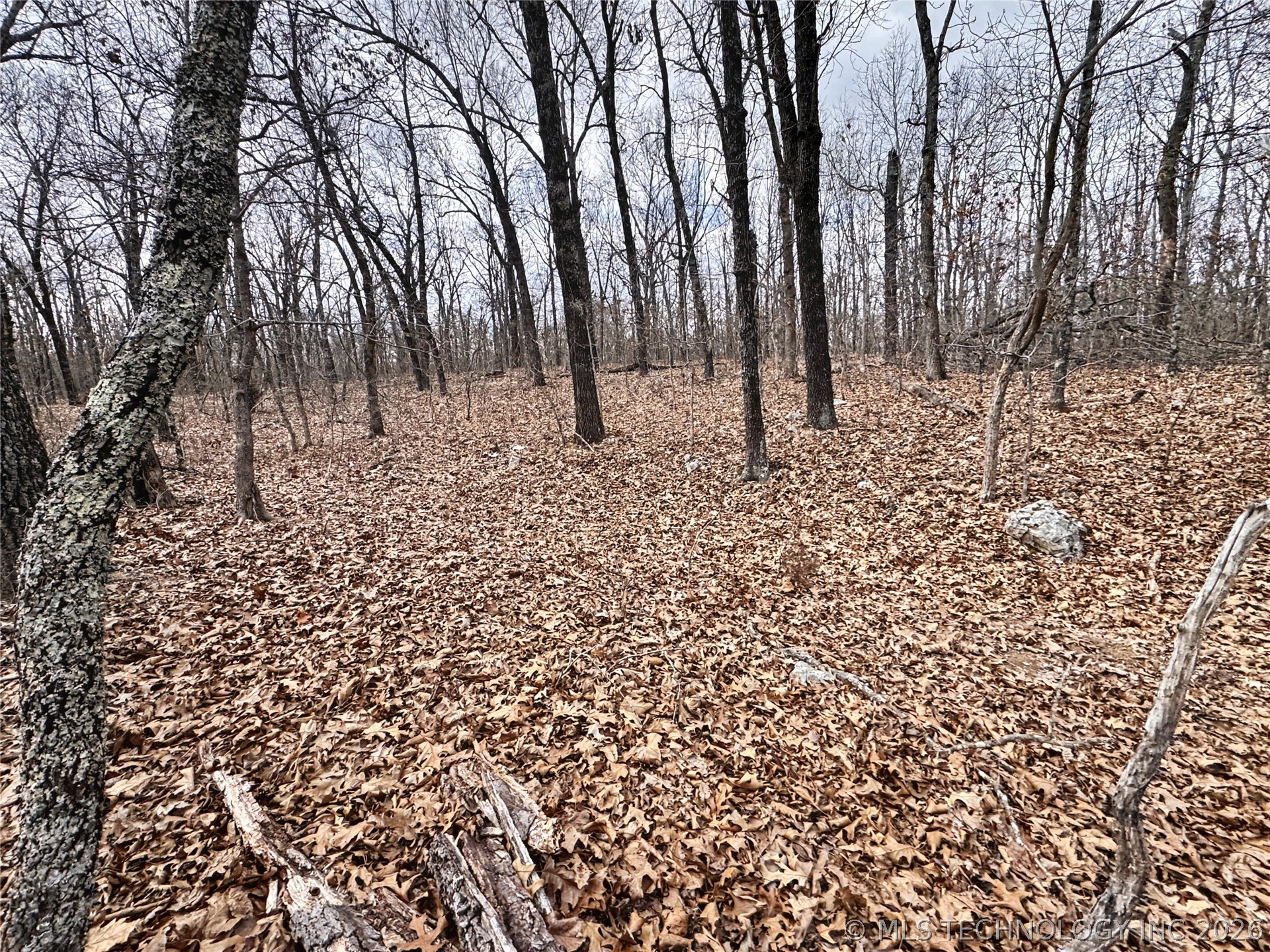 10709 W 660 Road Property Photo 59