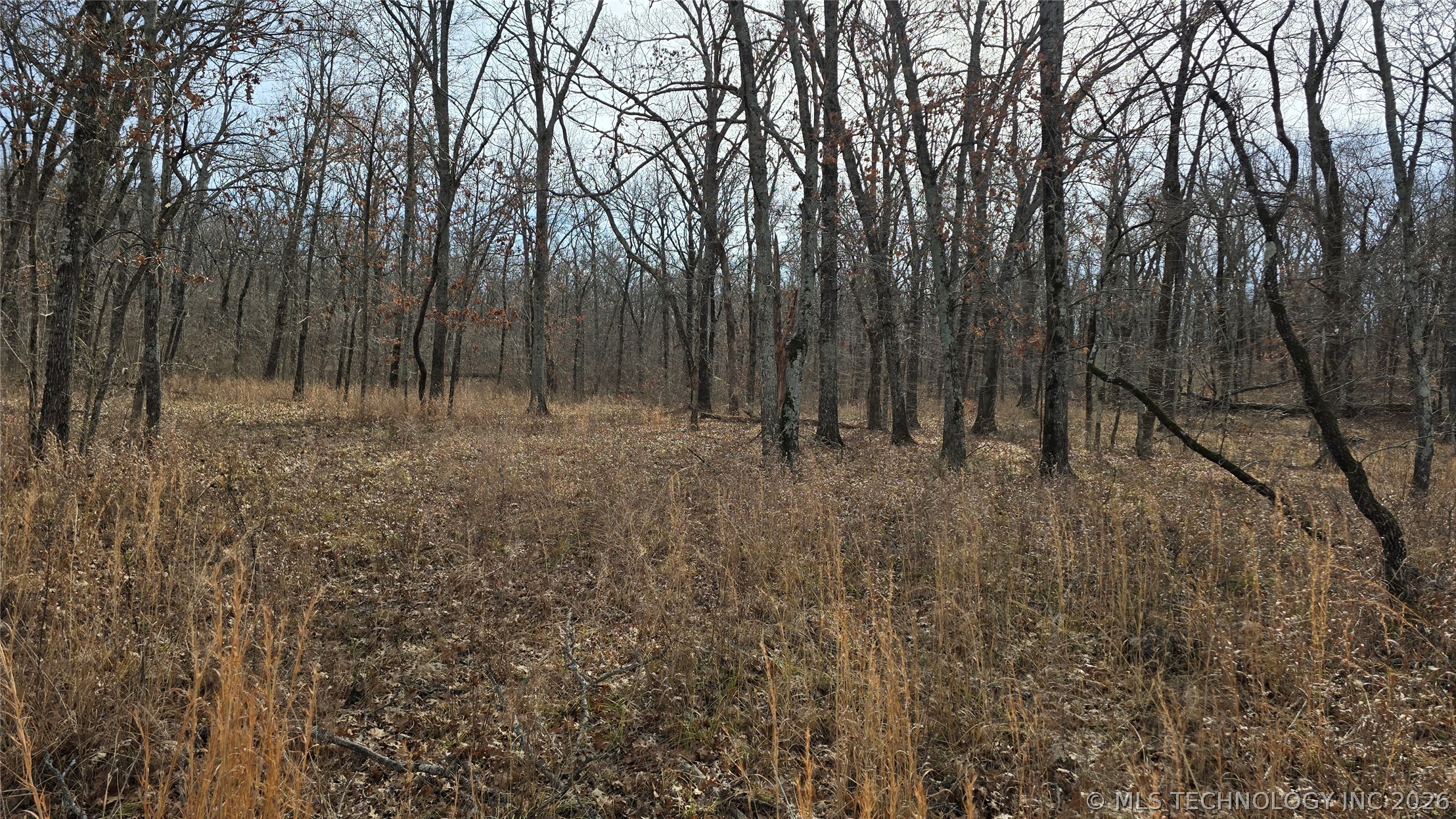 21936 Creager Road Property Photo 5