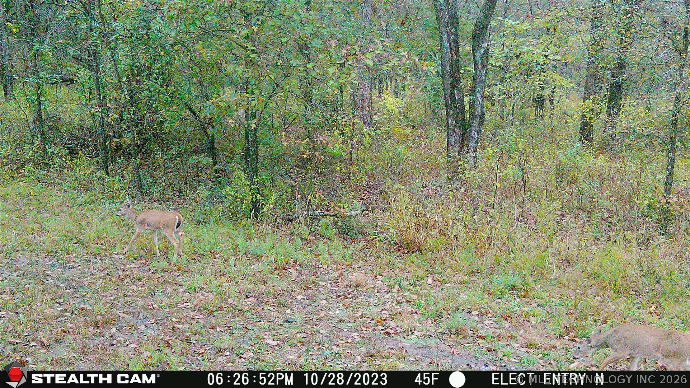 21936 Creager Road Property Photo 19