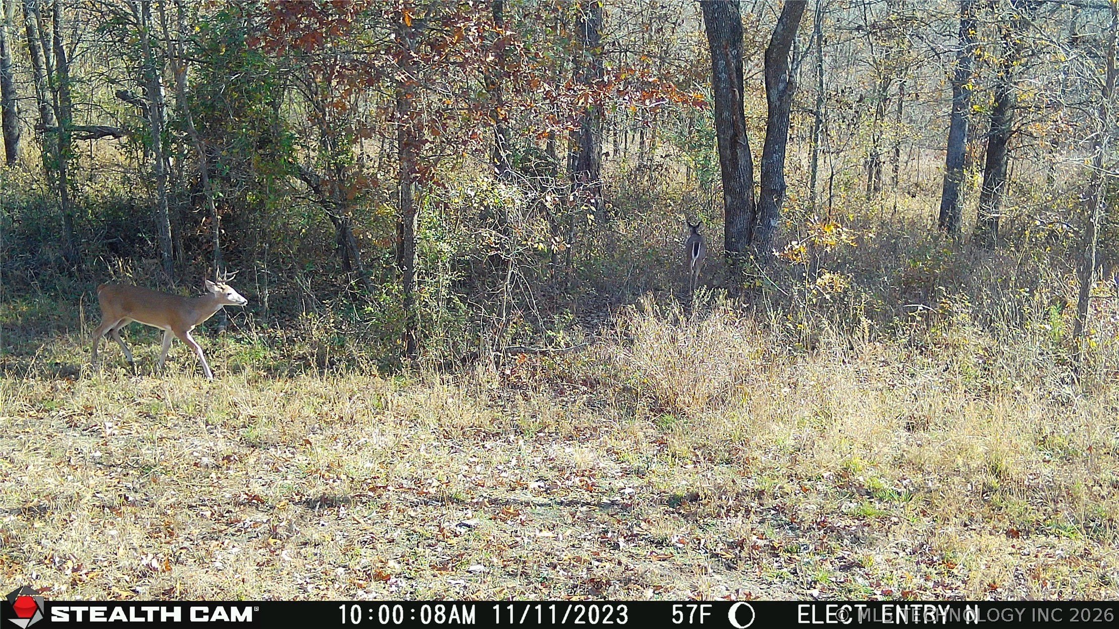21936 Creager Road Property Photo 20
