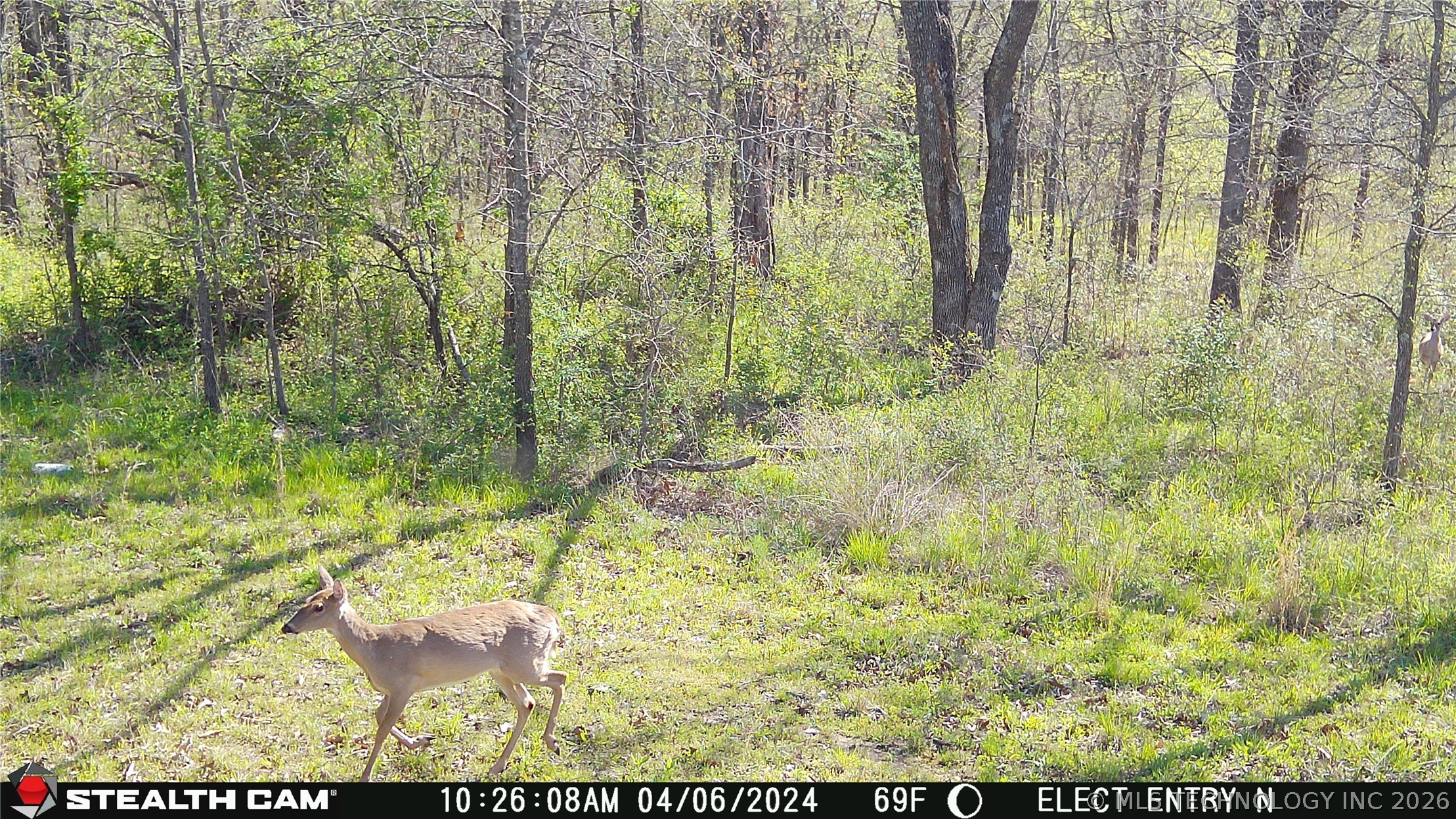 21936 Creager Road Property Photo 25