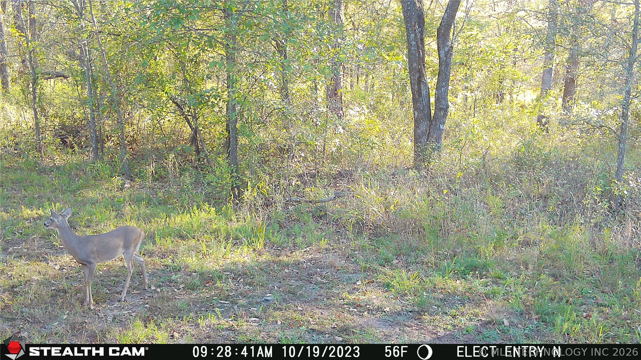 21936 Creager Road Property Photo 28