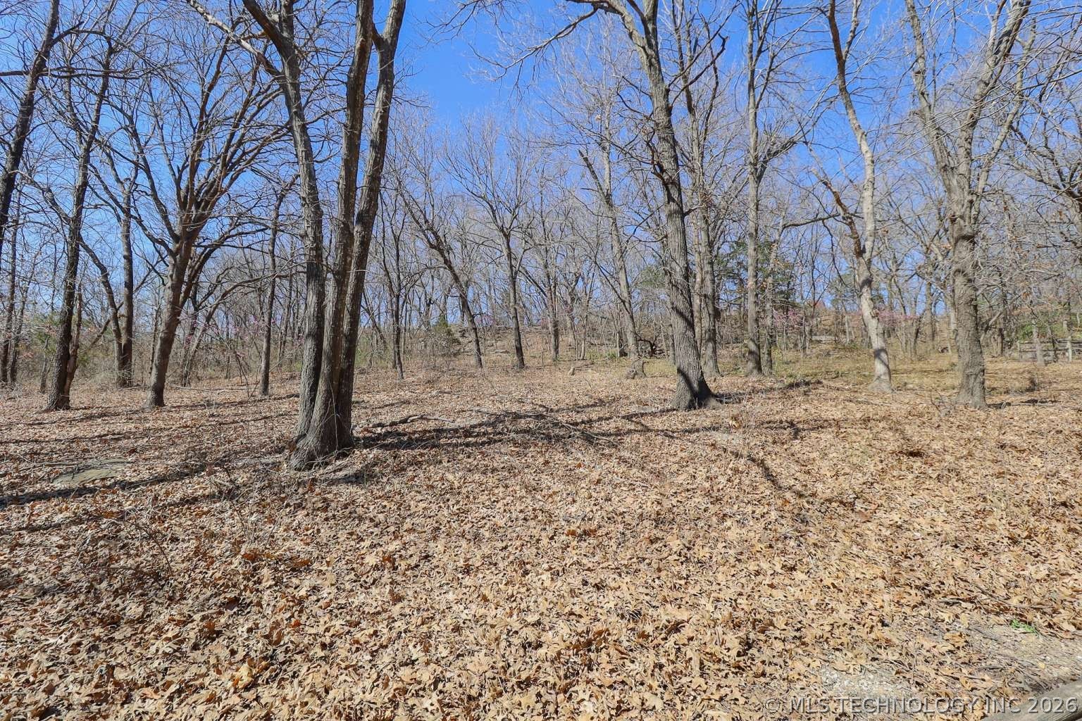 4200 Rustic Road Property Photo 36