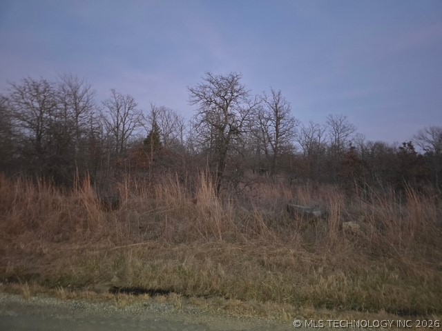 0000 W Cedar Lane Property Photo 2