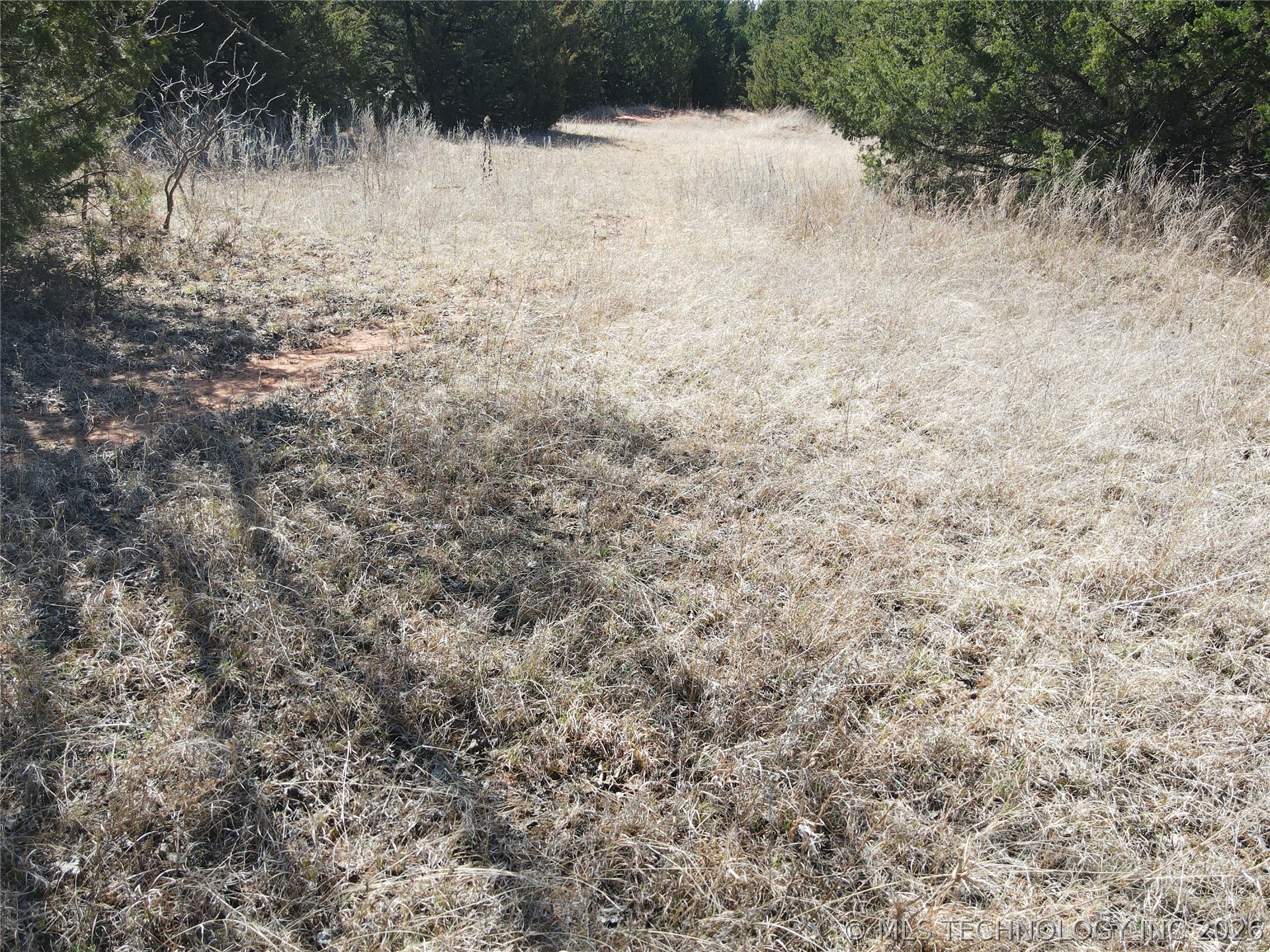 2441 E Rock Creek Road Property Photo 21