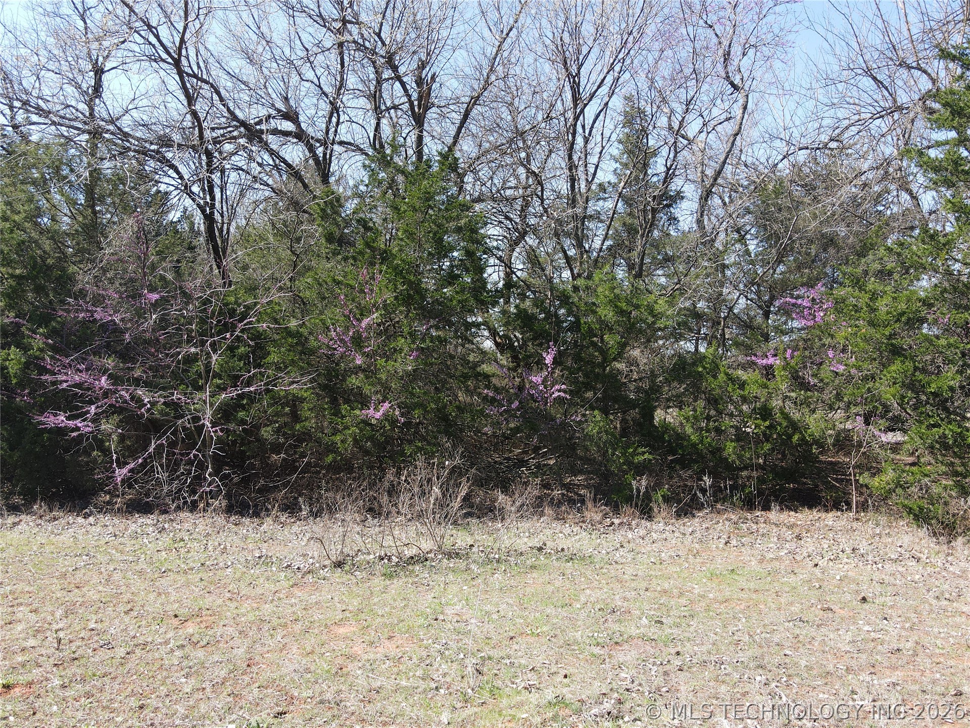 2441 E Rock Creek Road Property Photo 22