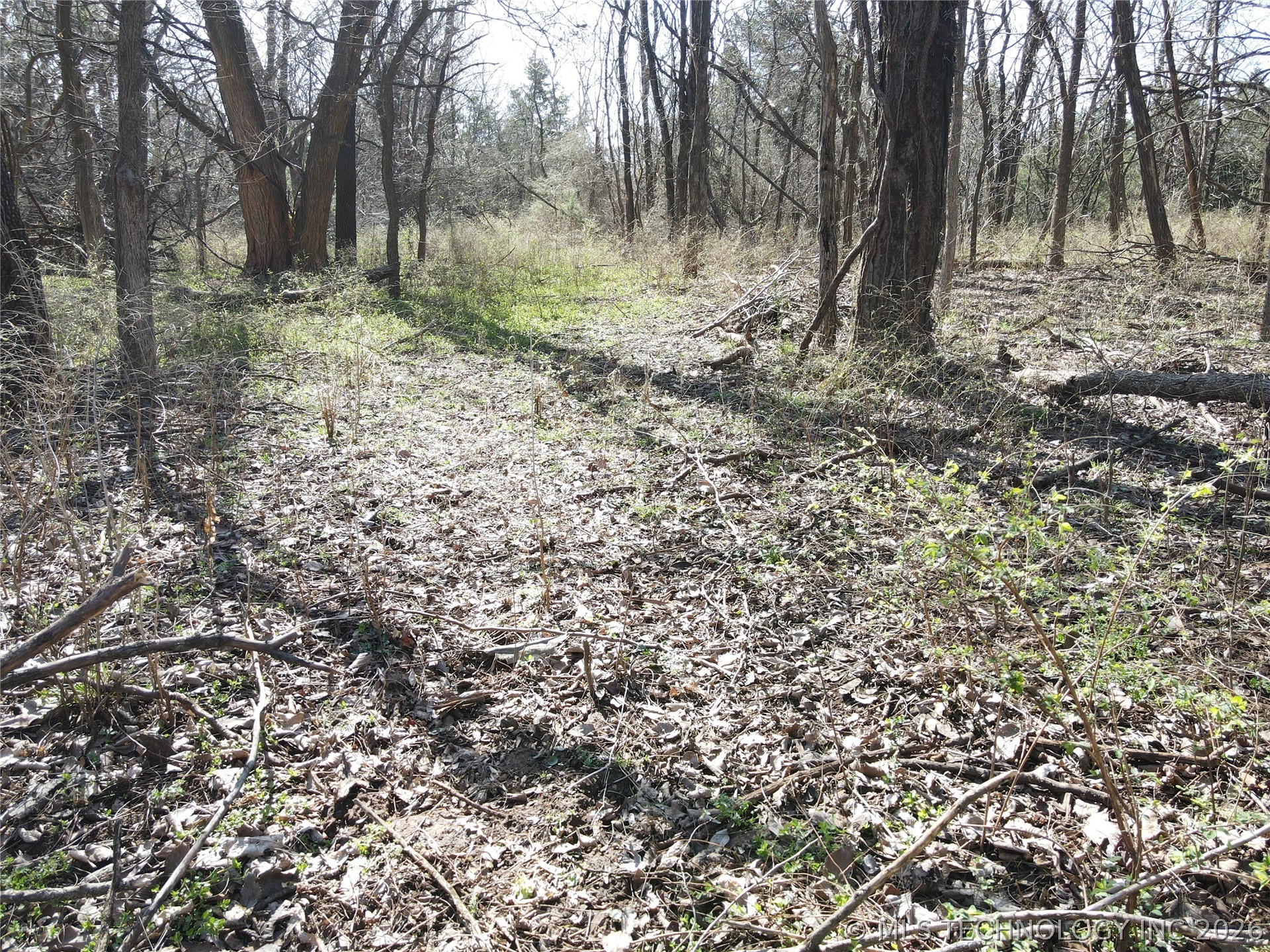 2441 E Rock Creek Road Property Photo 23