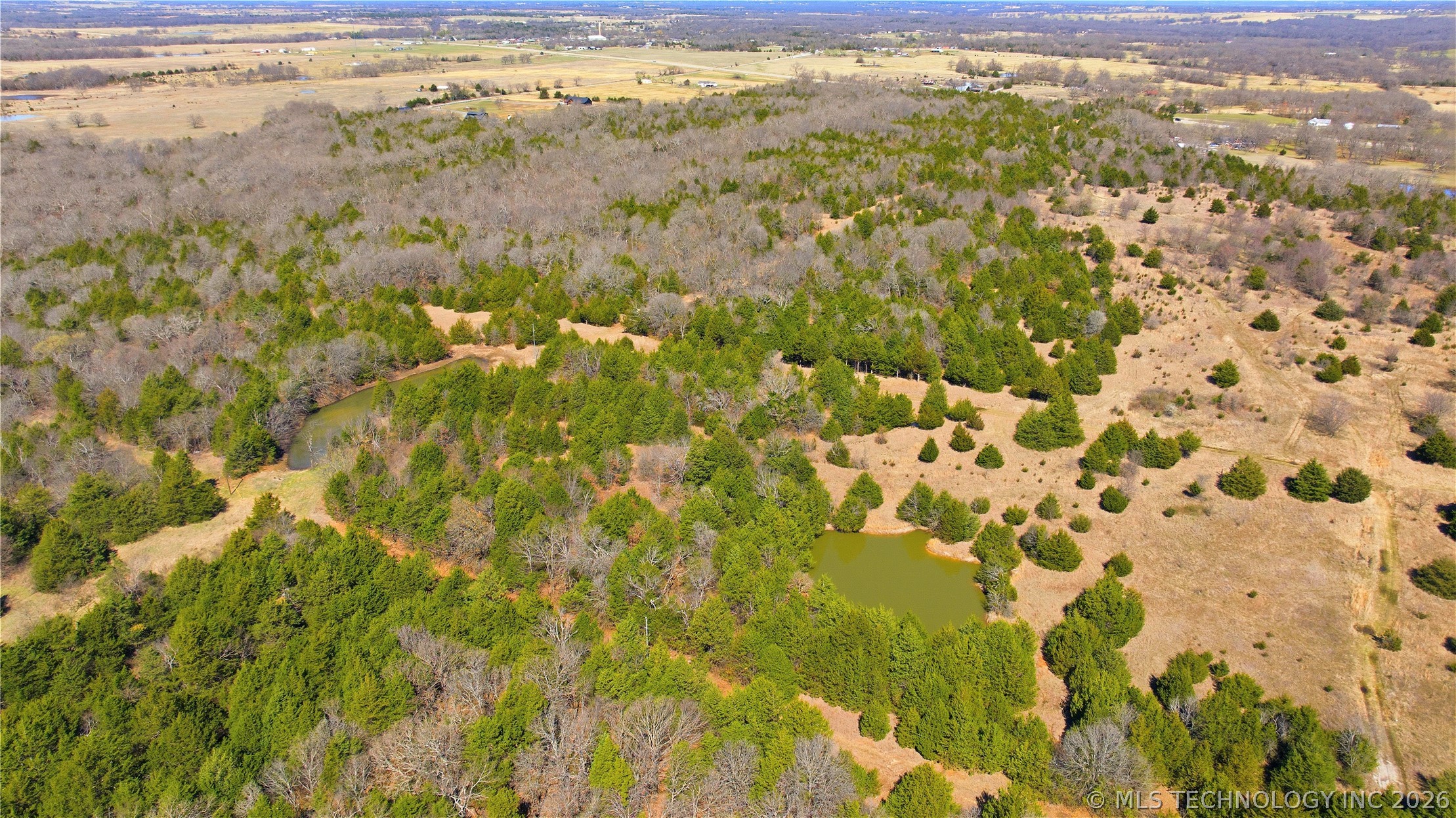 Highway 19 Property Photo 3