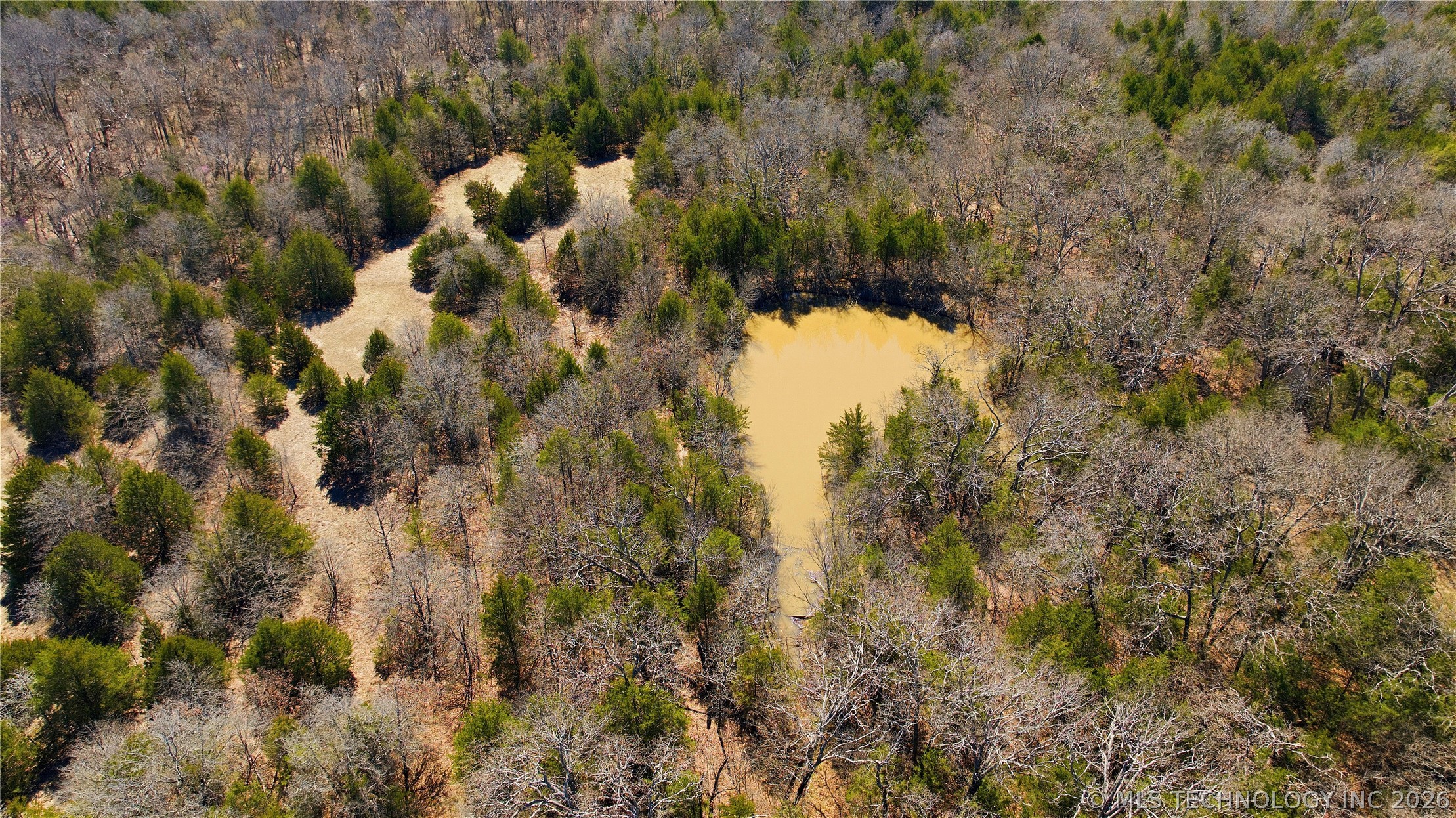 Highway 19 Property Photo 9