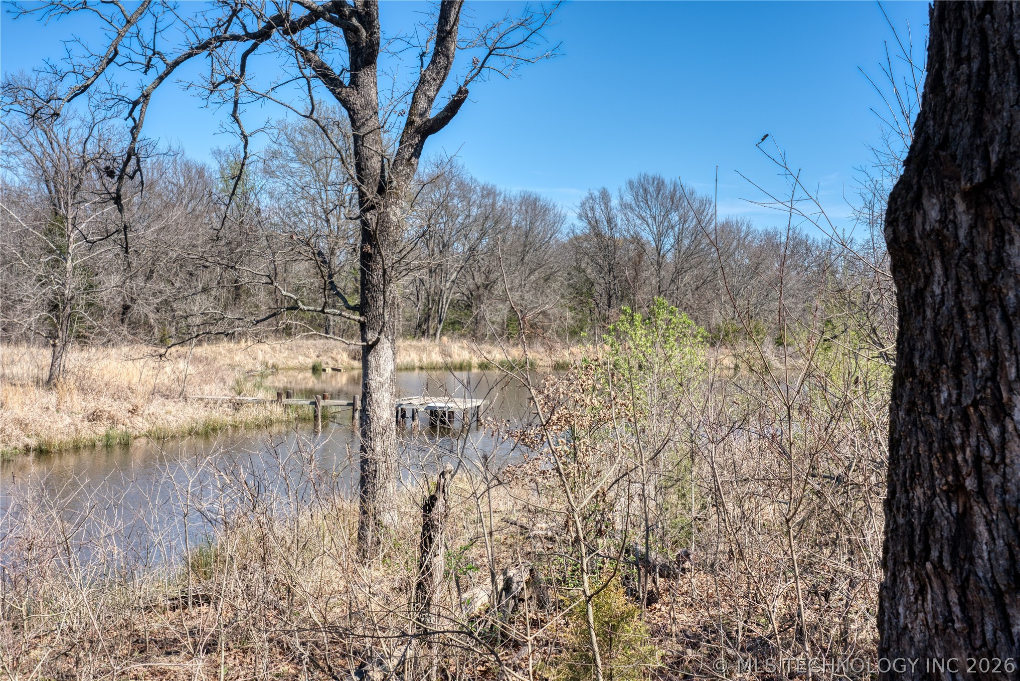 Voca Road Property Photo 5