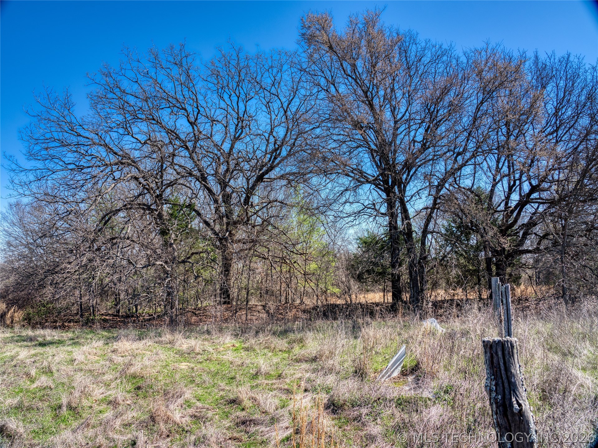 Voca Road Property Photo 10
