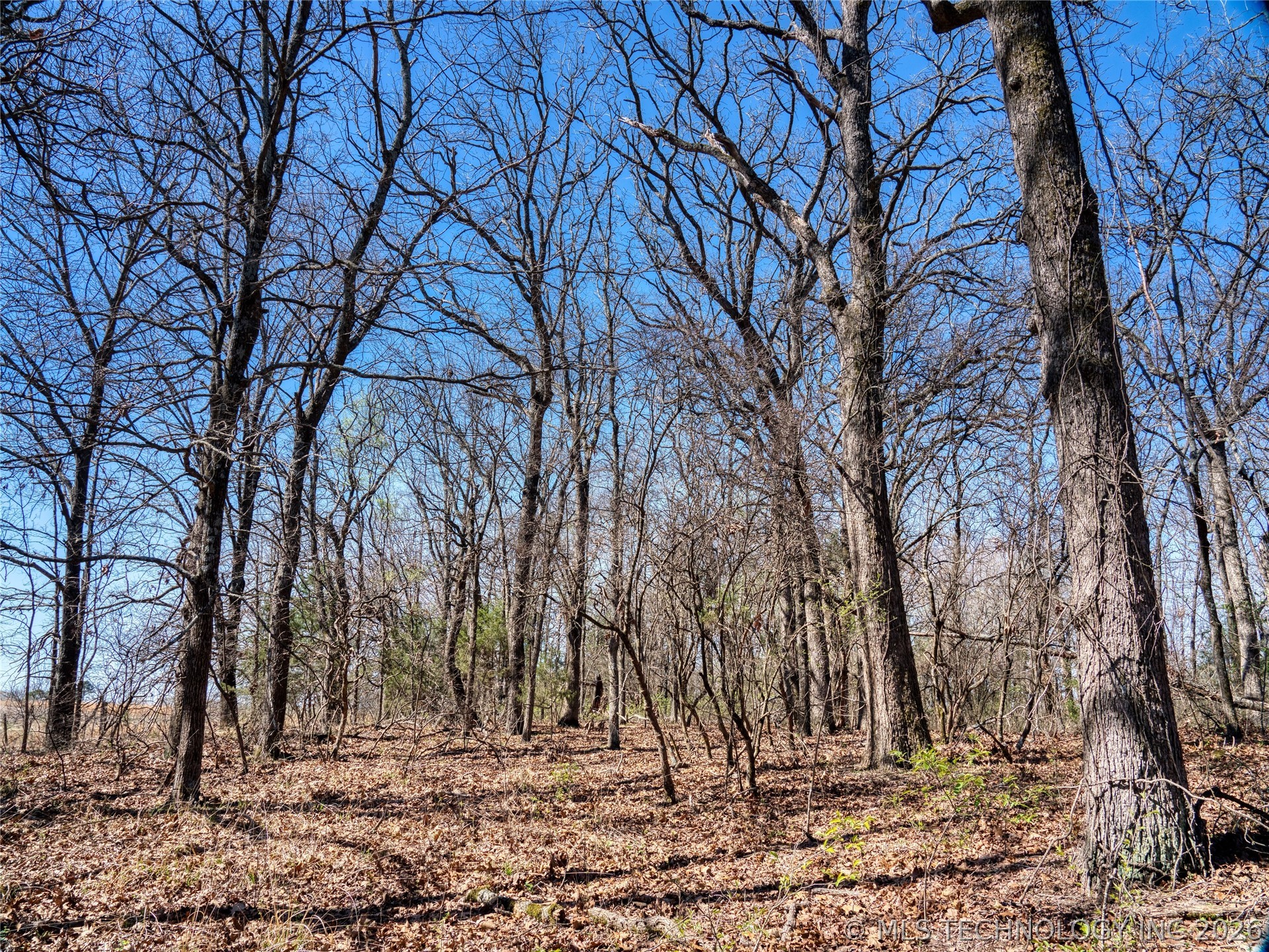 Voca Road Property Photo 11